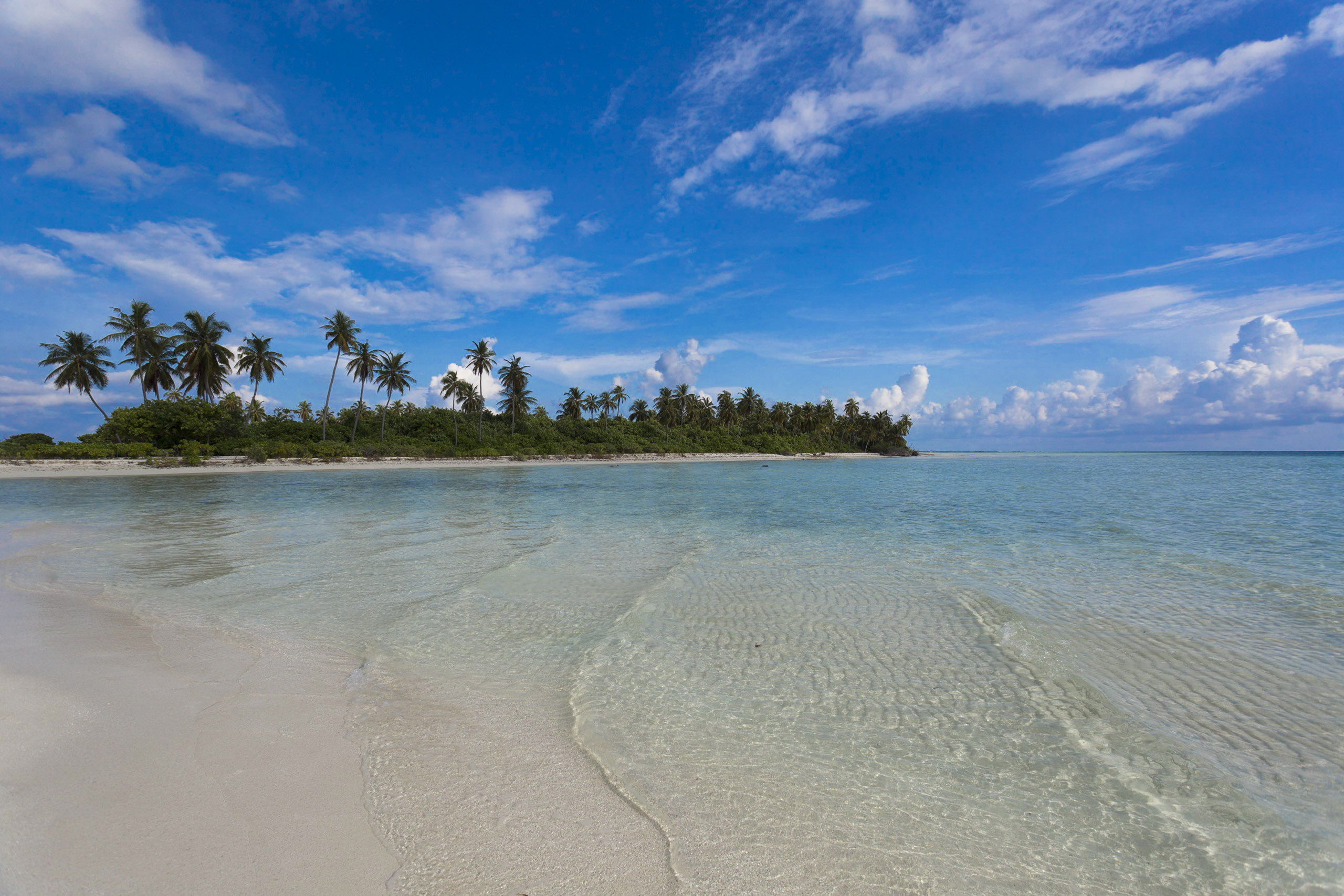 Reveries Diving Village by null