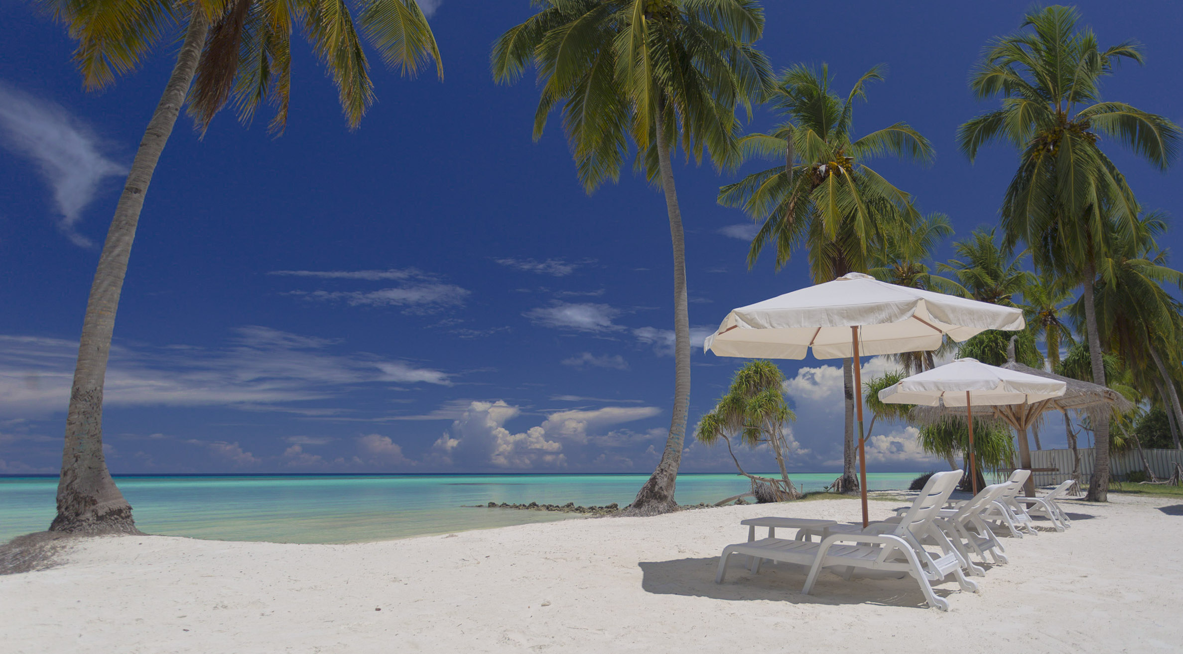 Reveries Diving Village by null