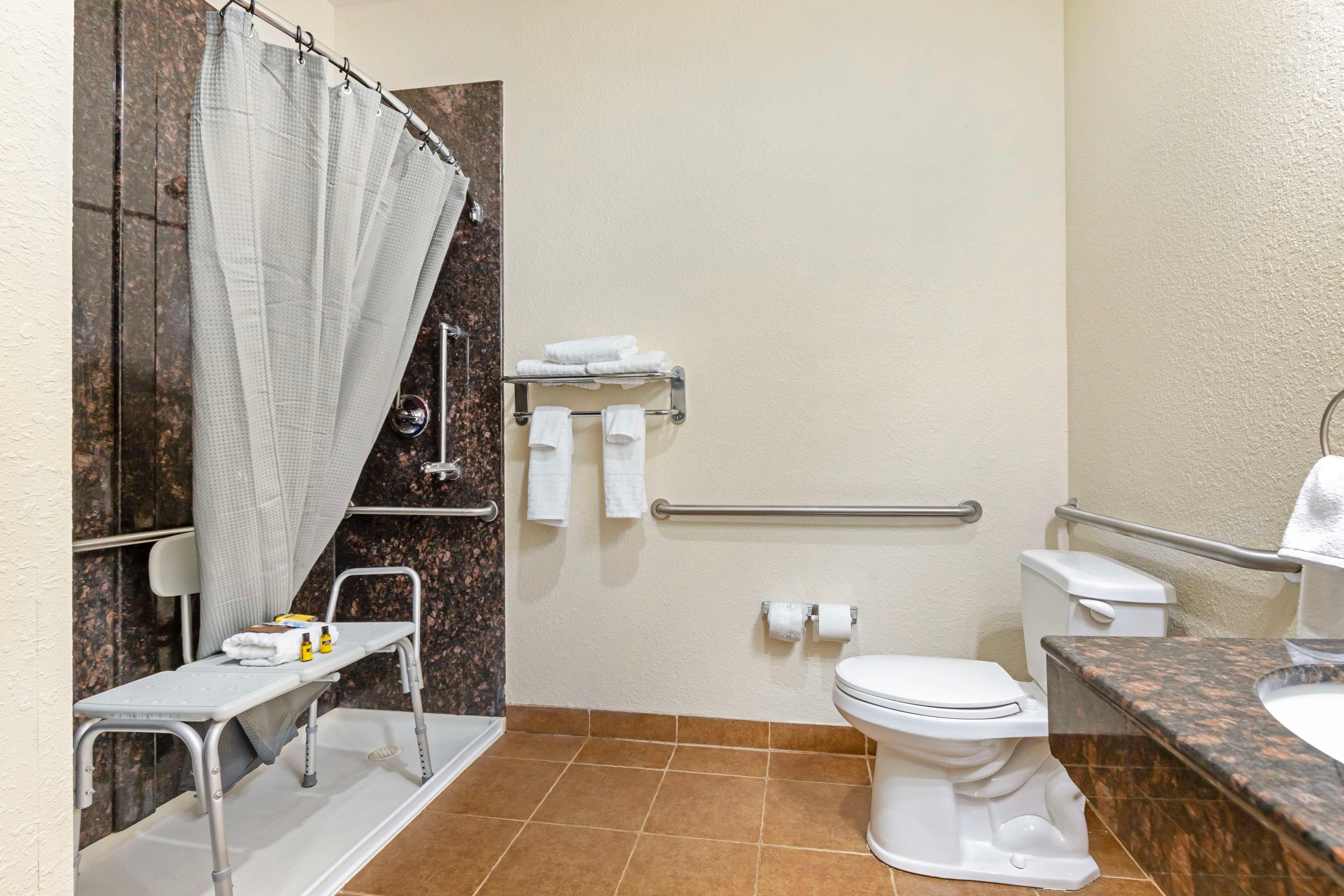 Best Western Plus Greenville South