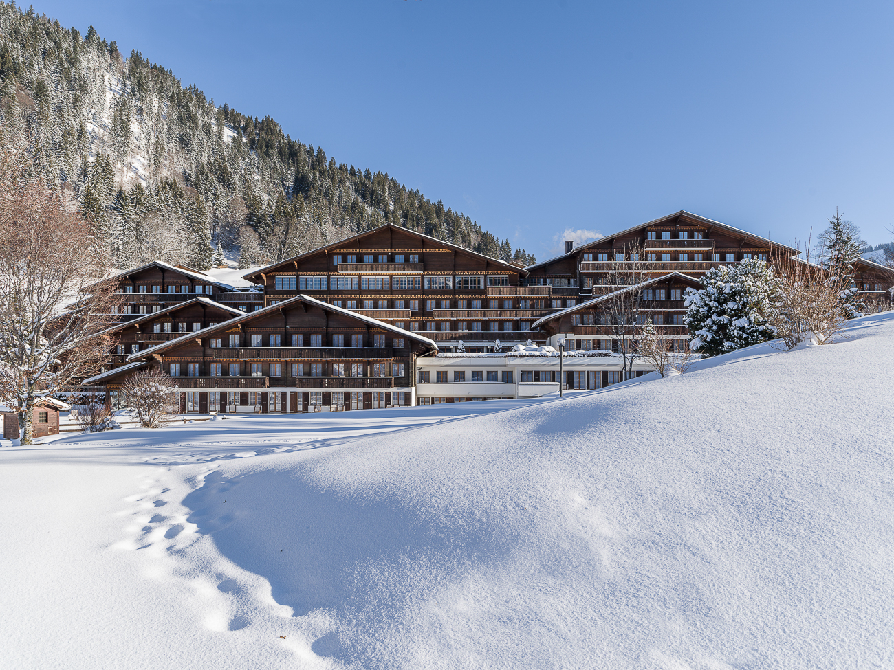HUUS Gstaad Hotel by null