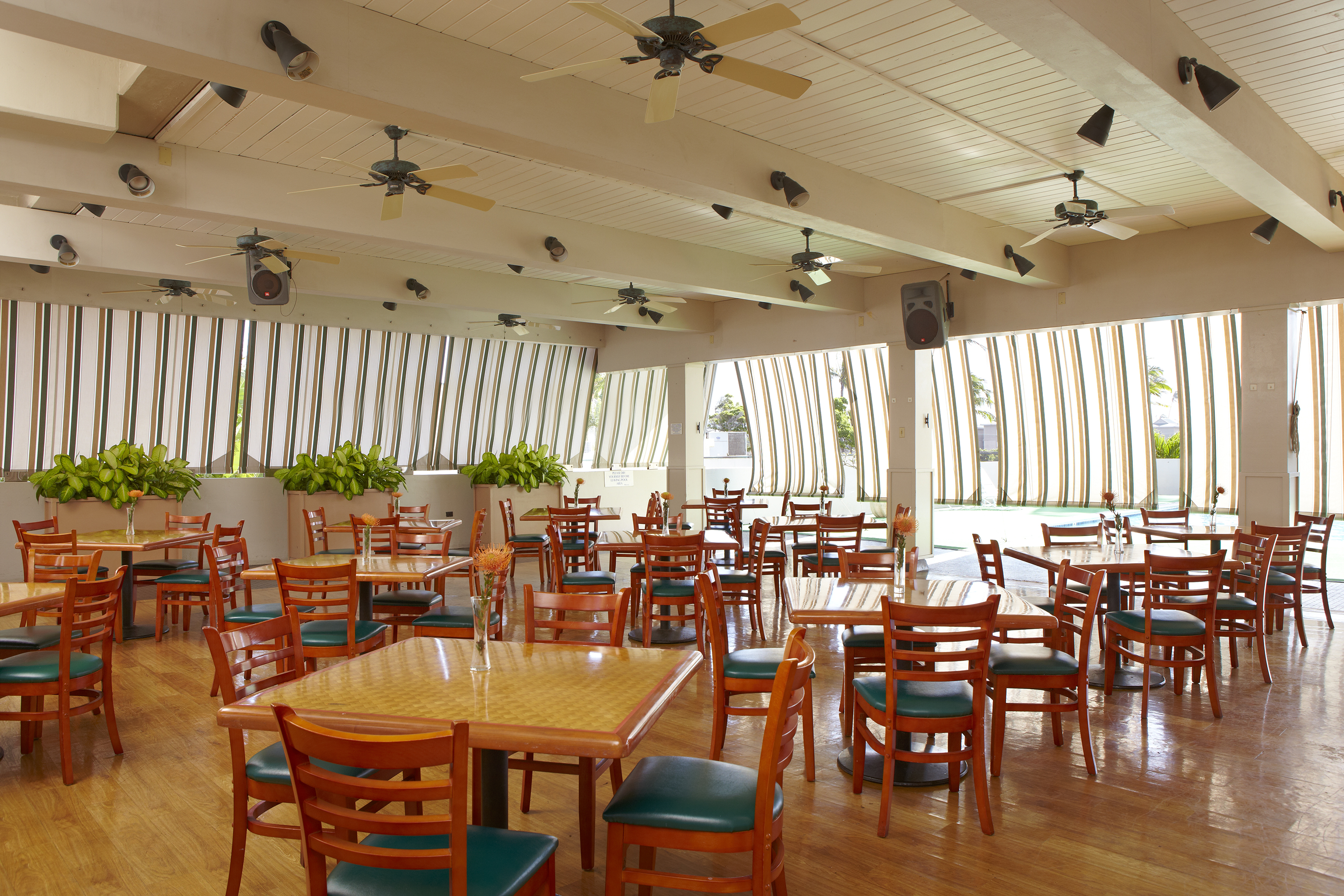 Maui Beach Hotel by null