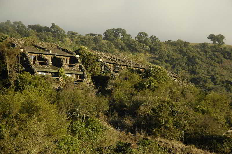 ンゴロンゴロ セレナ サファリ ロッジ