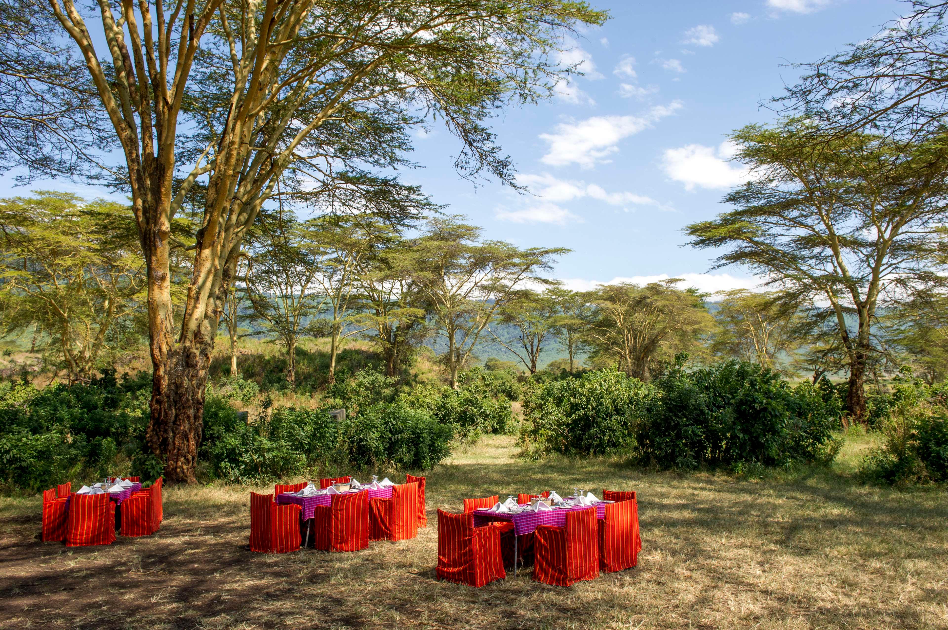 Ngorongoro Serena Safari Lodge by null