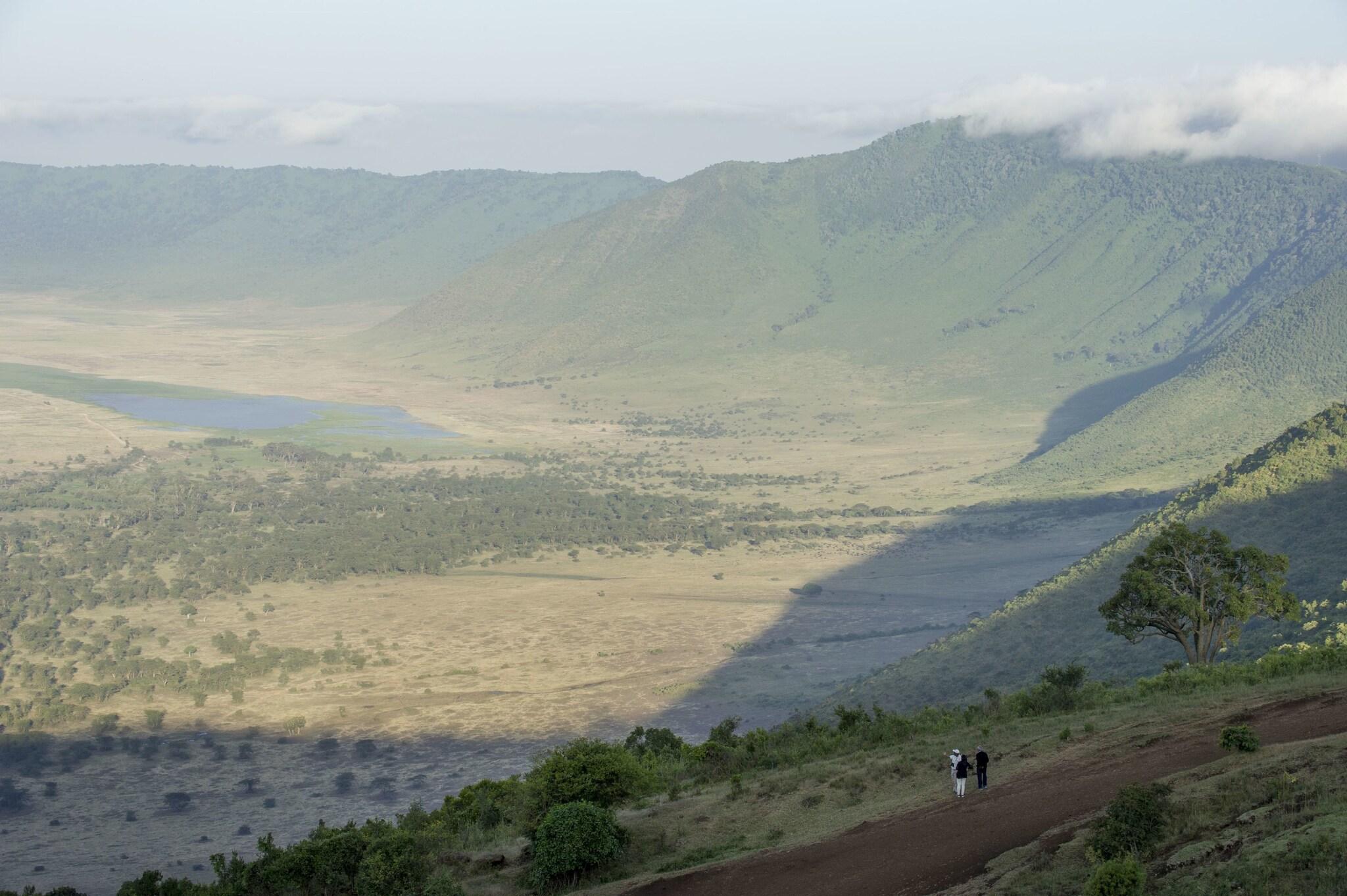 Ngorongoro Serena Safari Lodge by null