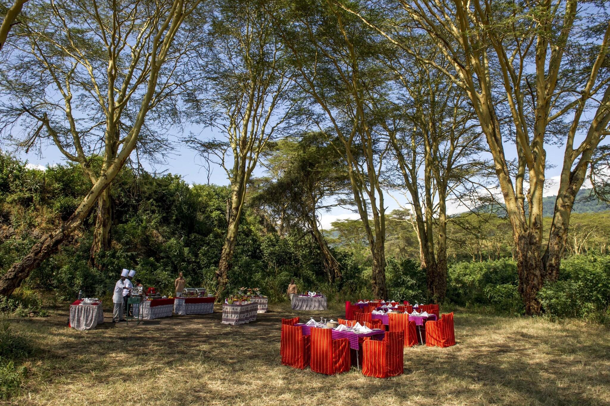 Ngorongoro Serena Safari Lodge by null