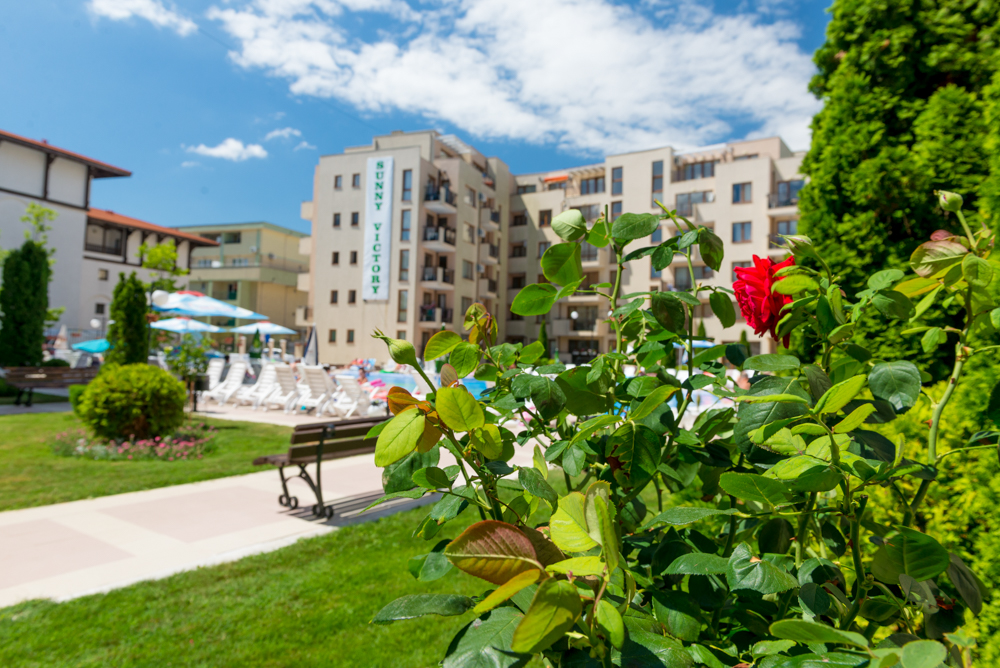 TSB Sunny Victory Apartments - photo