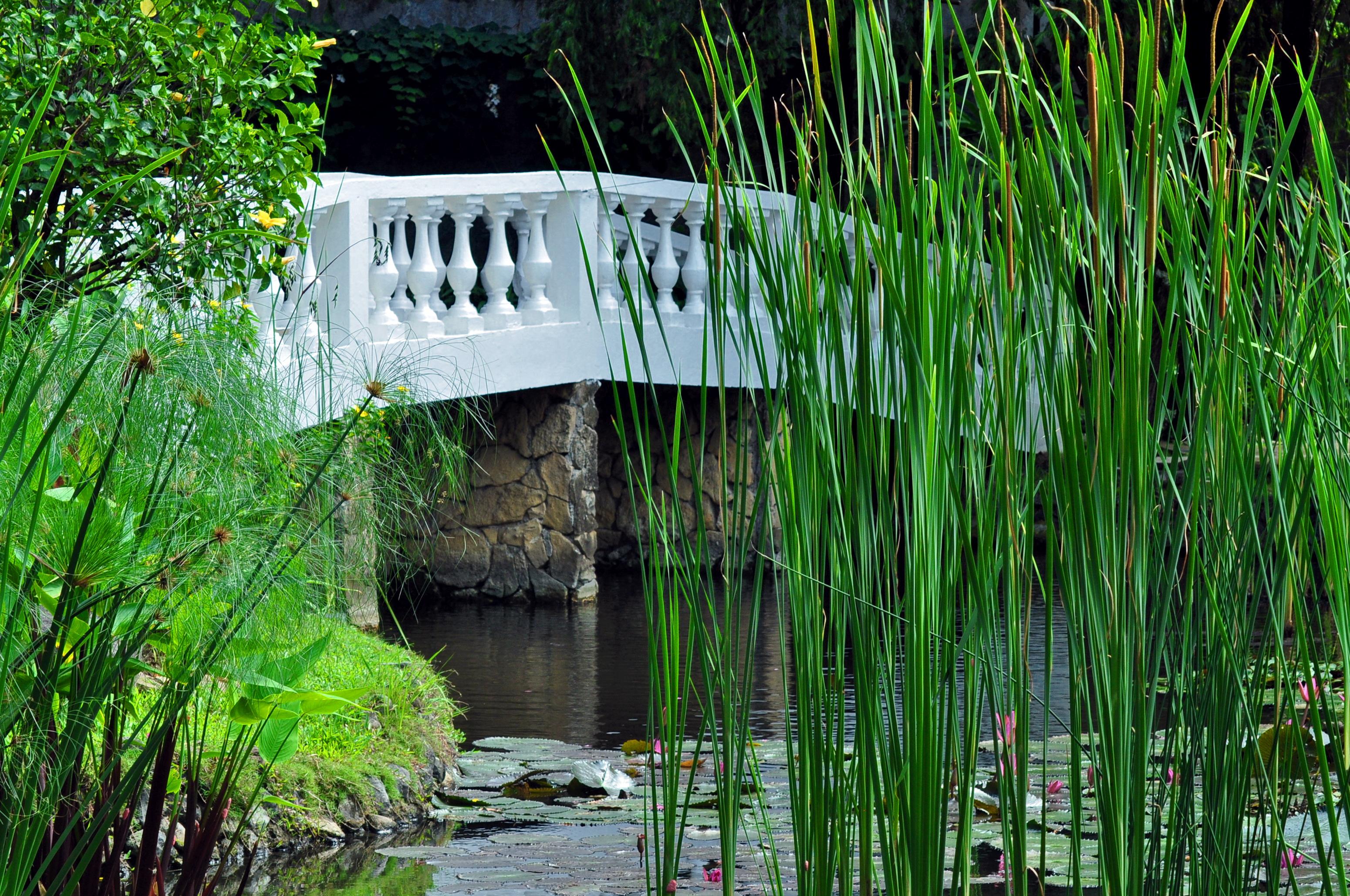 Montebello Villa Hotel by null