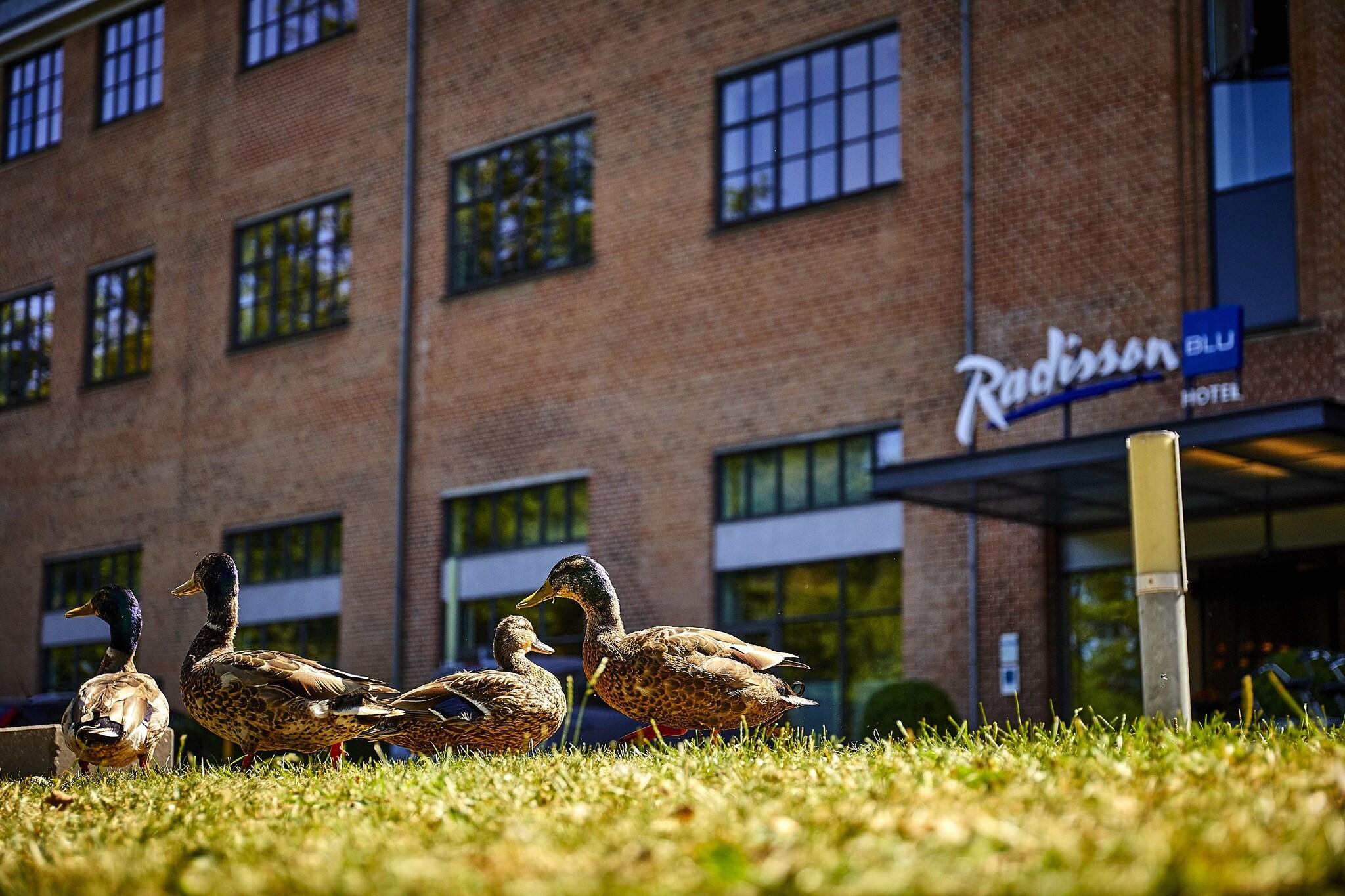 Radisson Hotel Papirfabrikken Silkeborg by null
