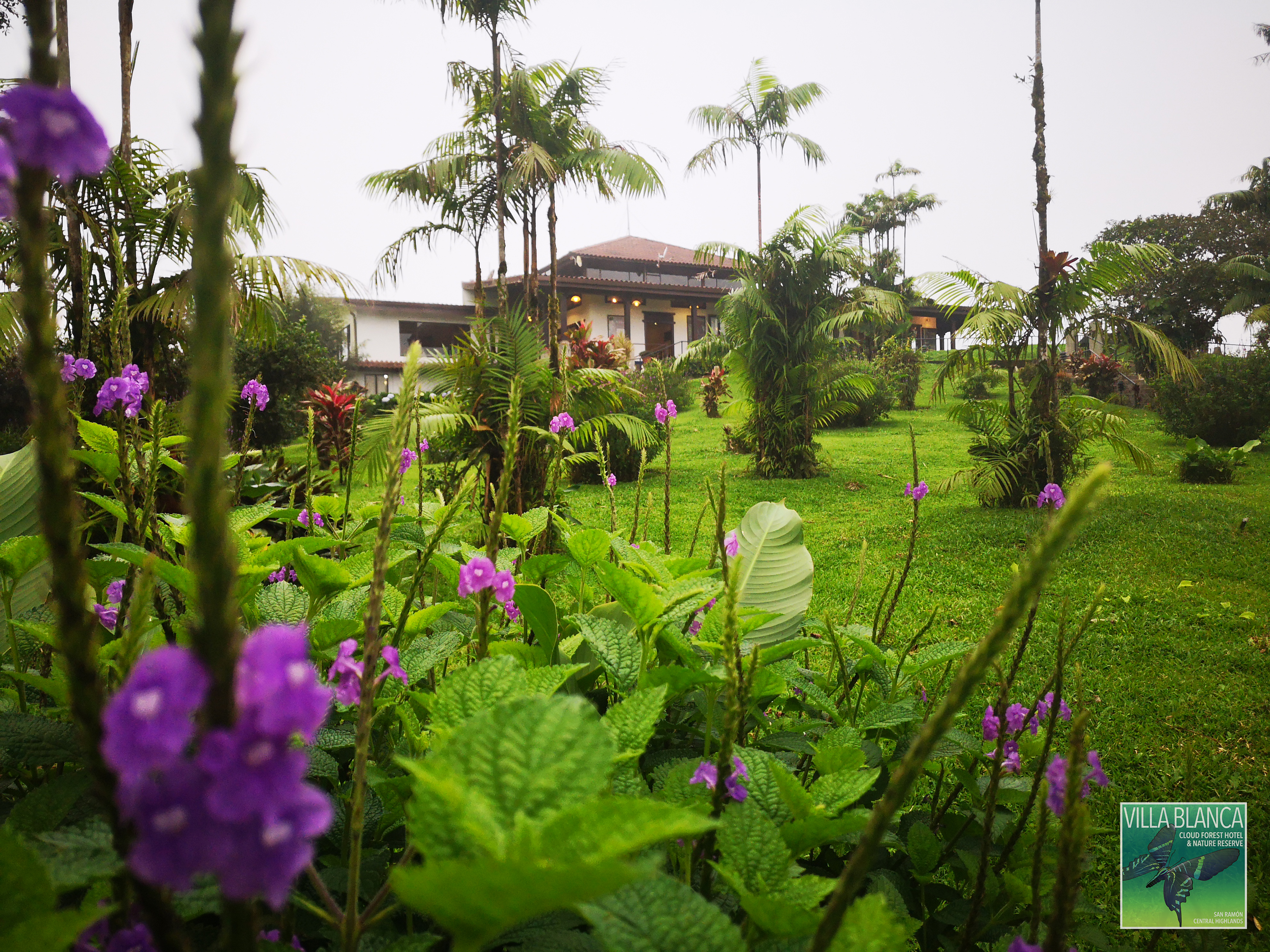 Villa Blanca Cloud Forest Hotel + Retreat by null