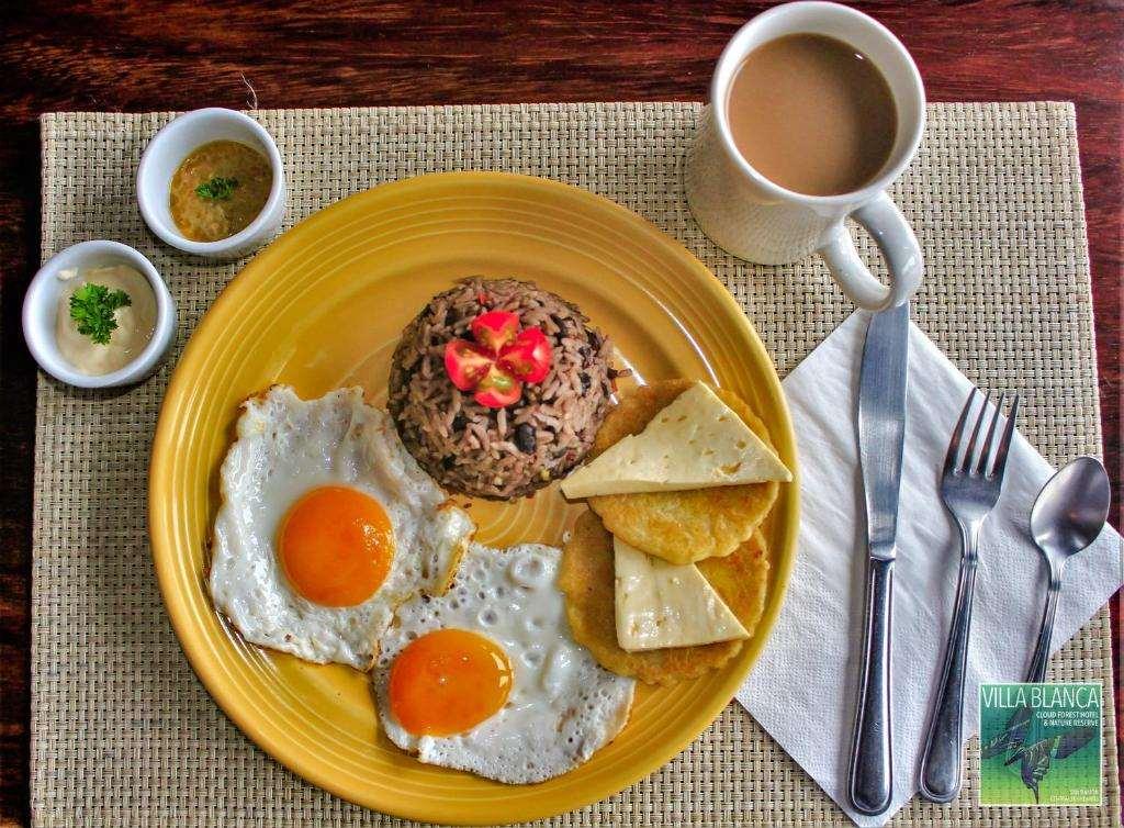 Villa Blanca Cloud Forest Hotel + Retreat by null