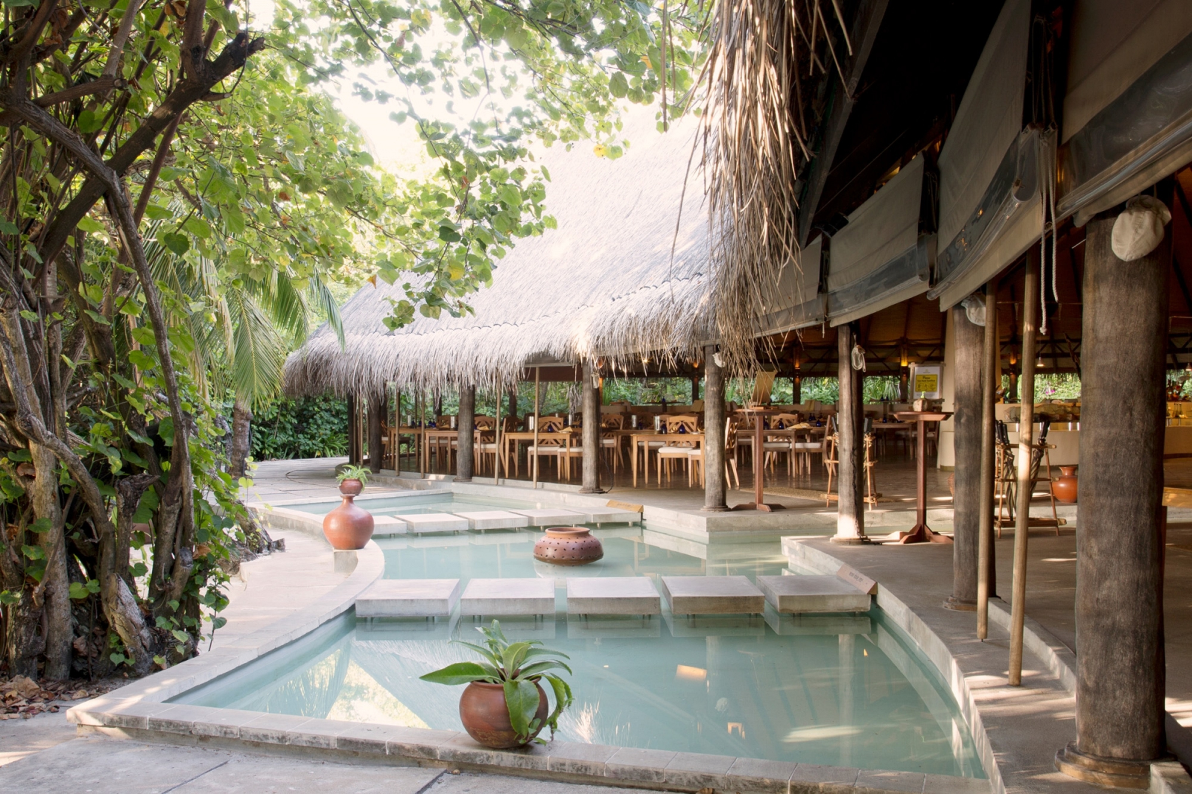 Coco Palm Dhuni Kolhu by null