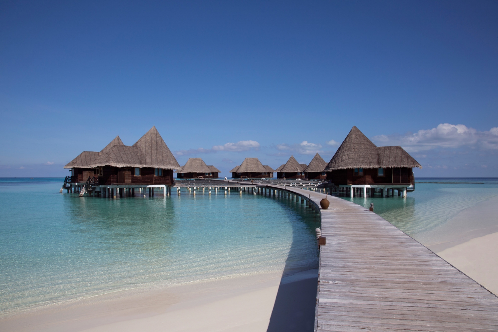 Coco Palm Dhuni Kolhu by null