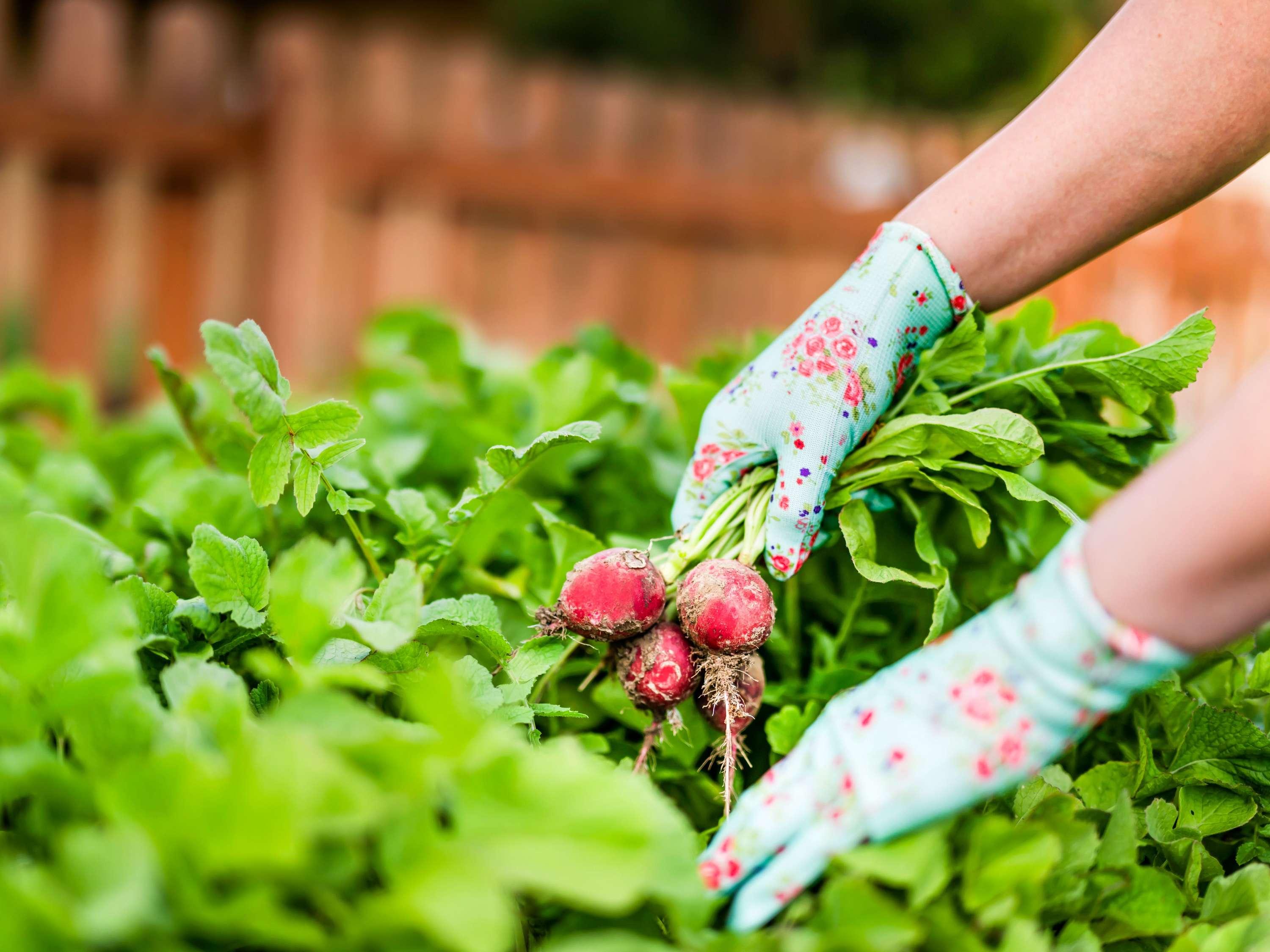 Mantra Midtown Brisbane by null