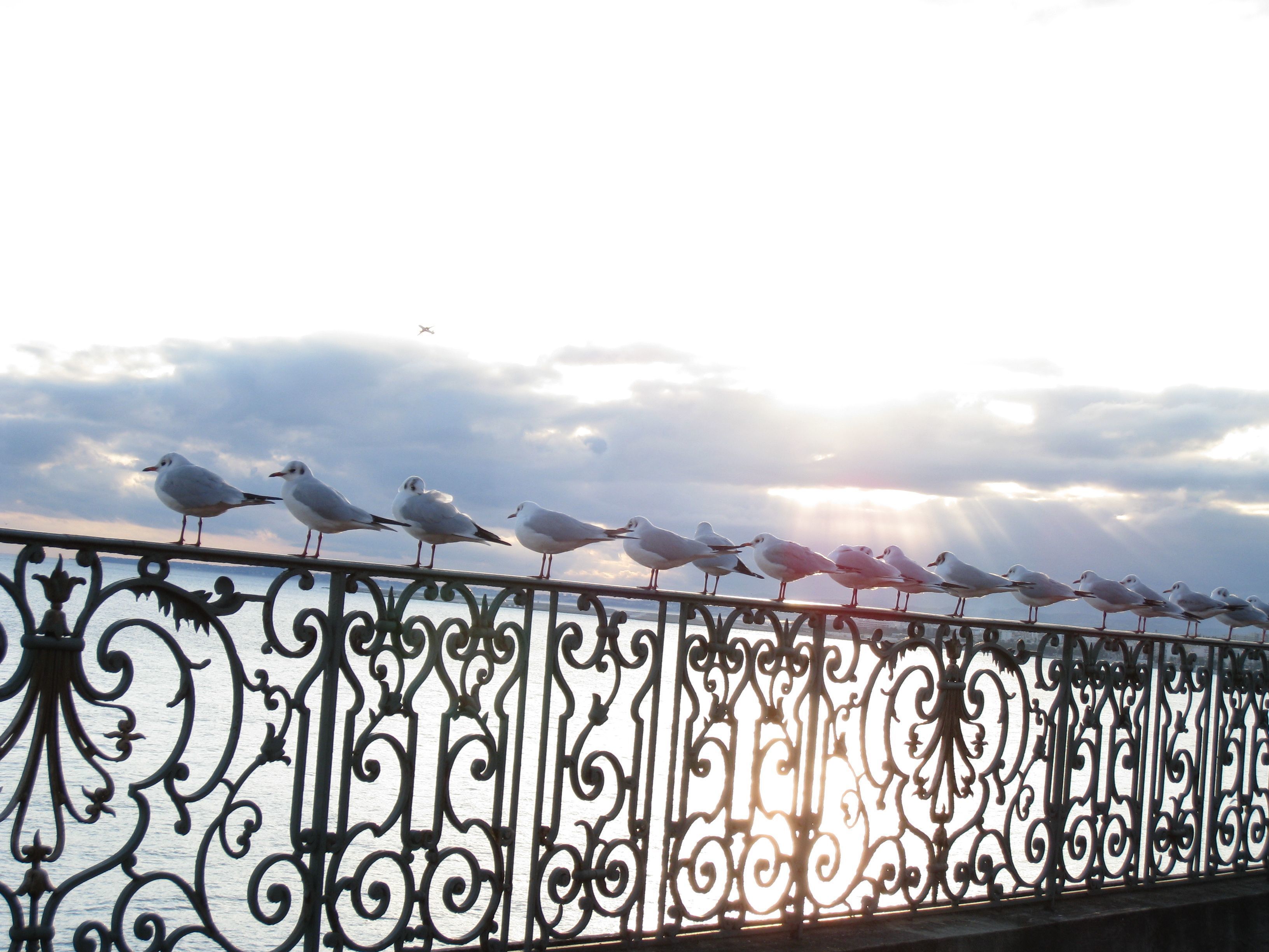 Le Royal - nuotrauka