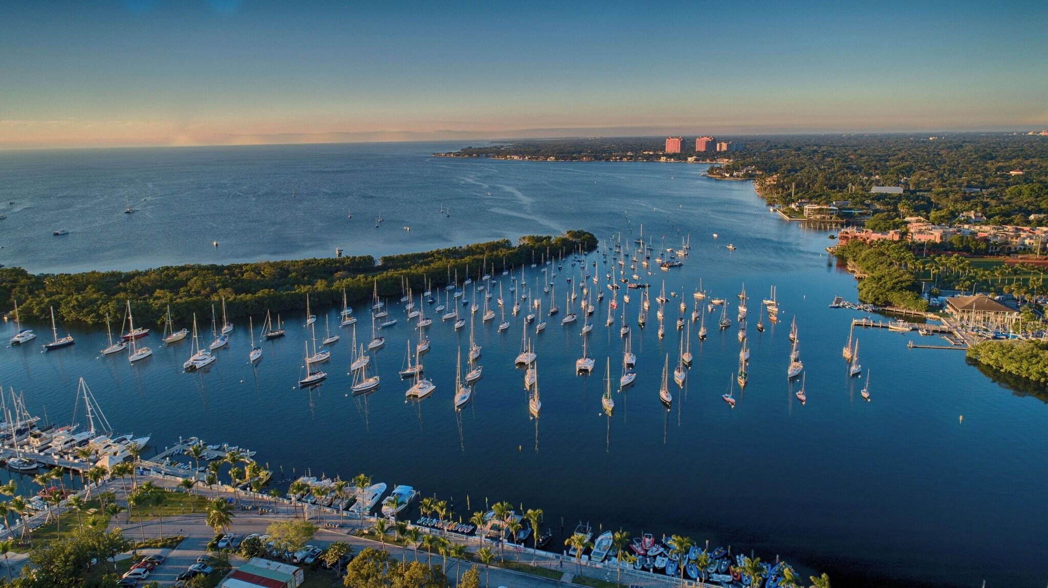 The Ritz-Carlton Coconut Grove, Miami by null