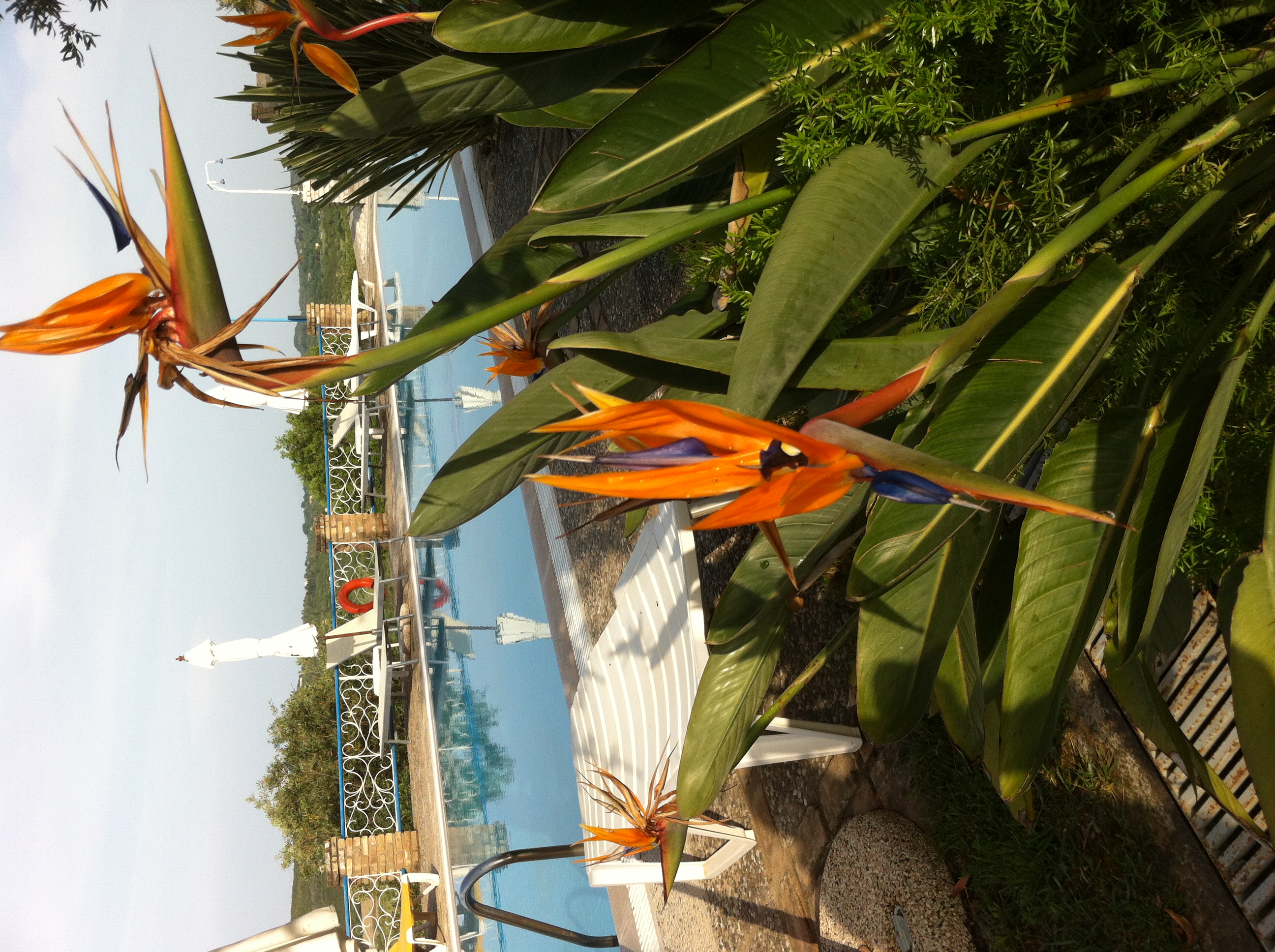 Fundana Villas - фото