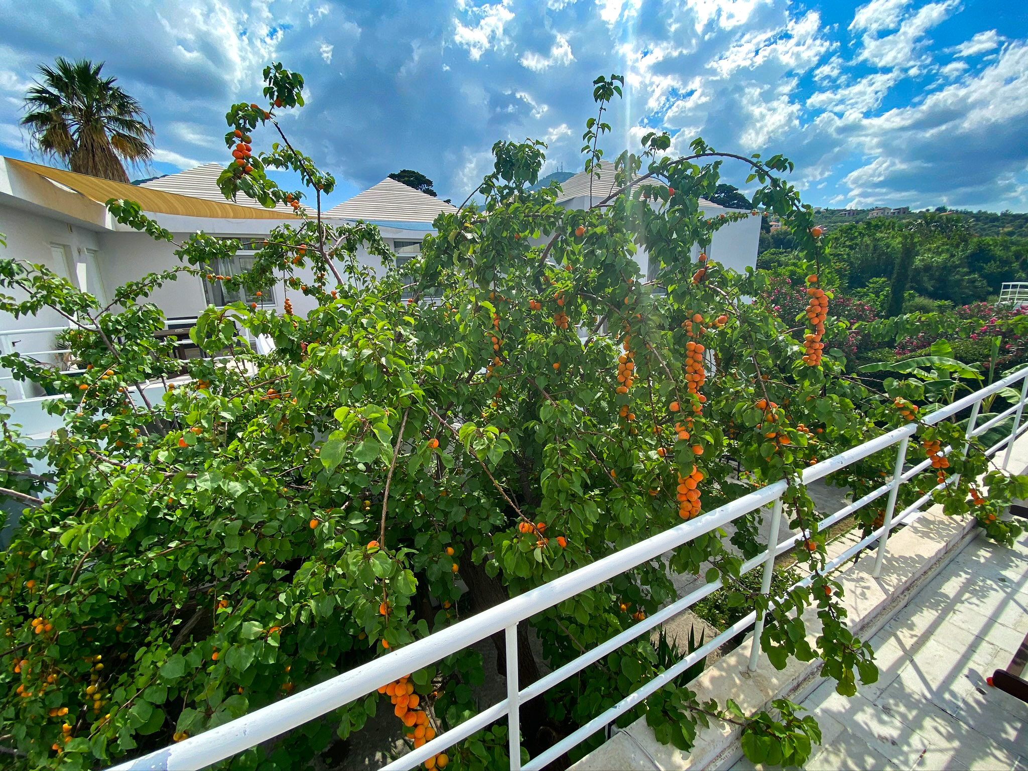 Loriet Hotel