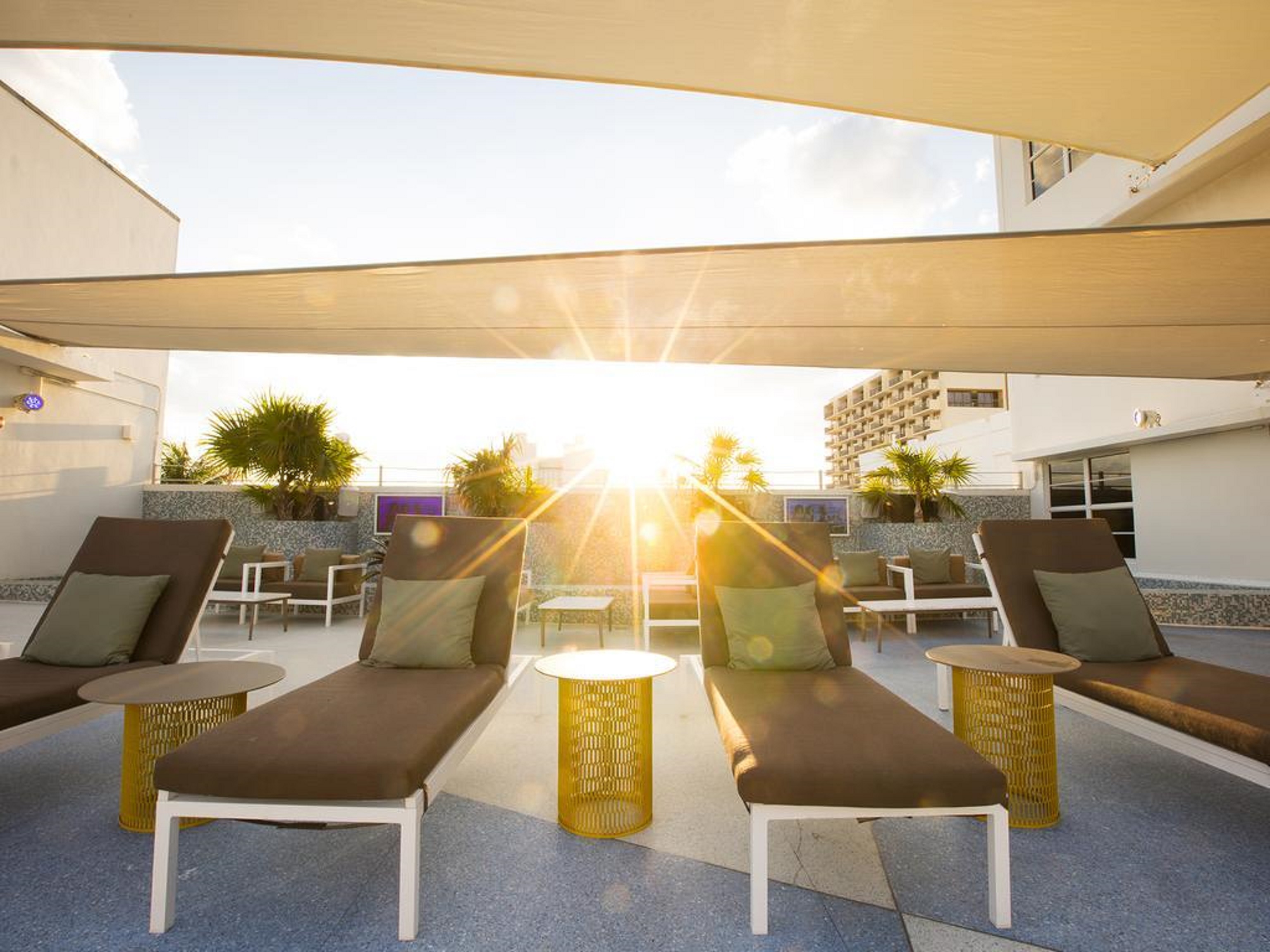 Clevelander South Beach by null