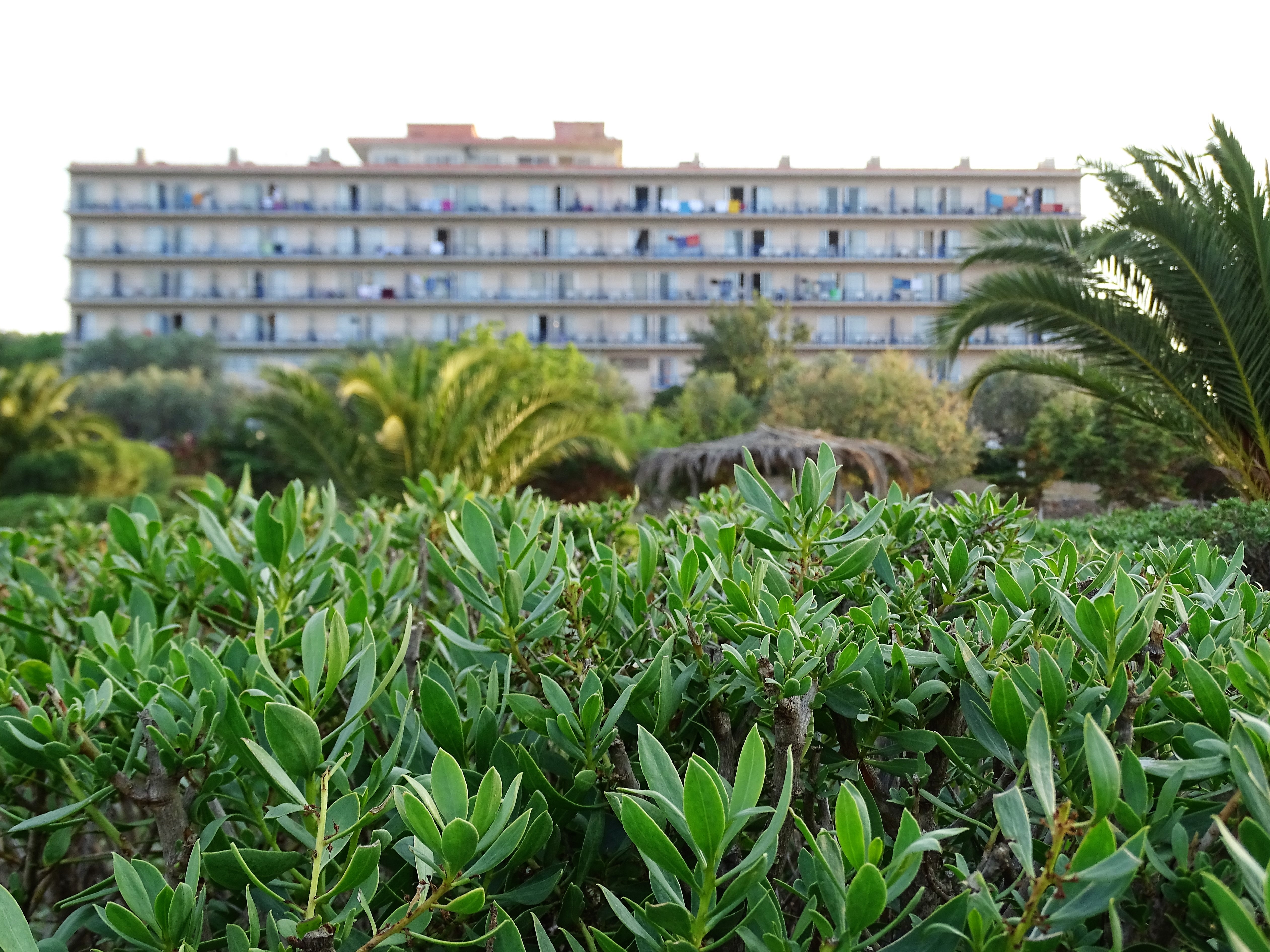 Galaxy Porto Heli