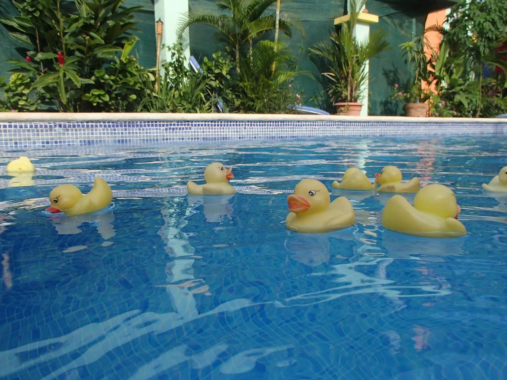 Conchal Hotel & Papaya Restaurant by null