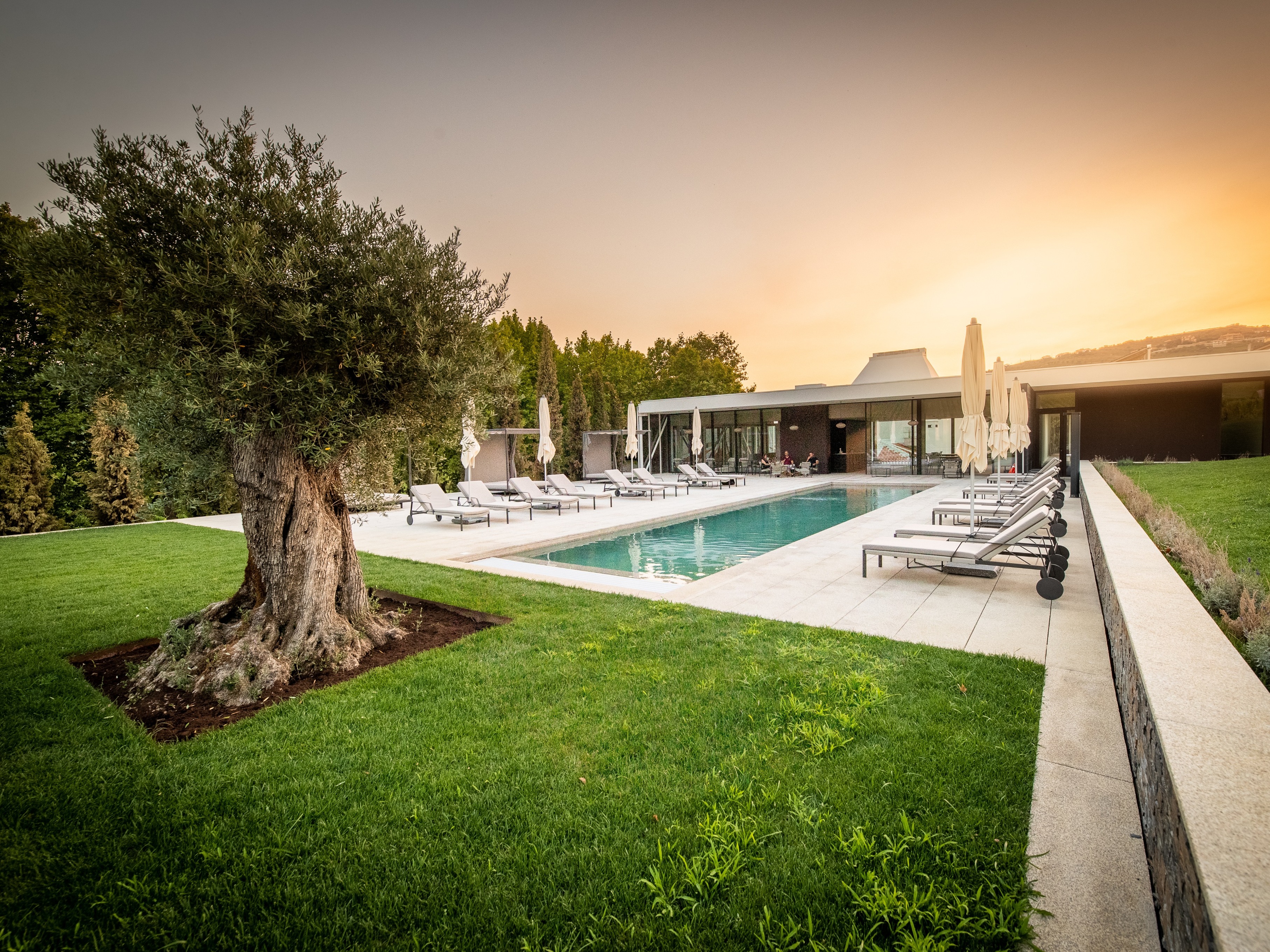 Quinta da Pacheca by null