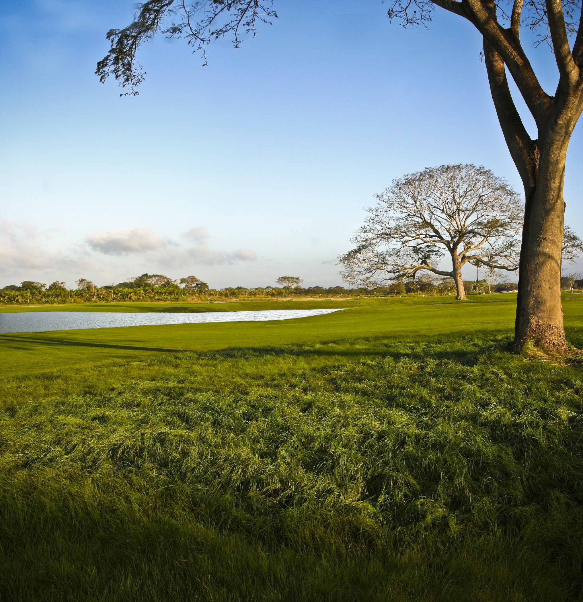 The Buenaventura Golf & Beach Resort Panama, Autograph Collection by null