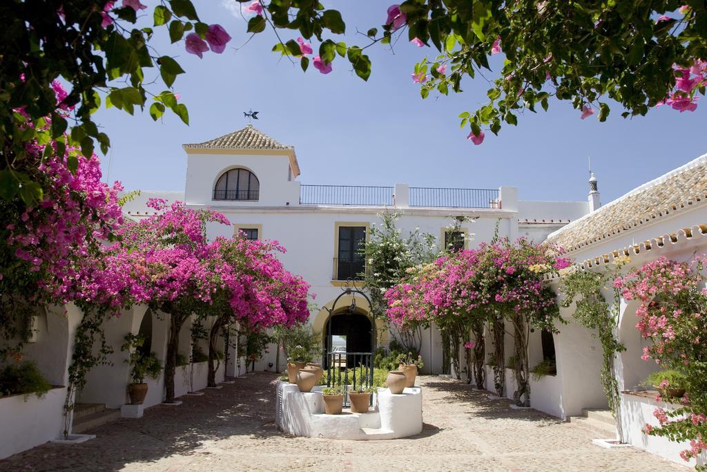 Hacienda de San Rafael by null