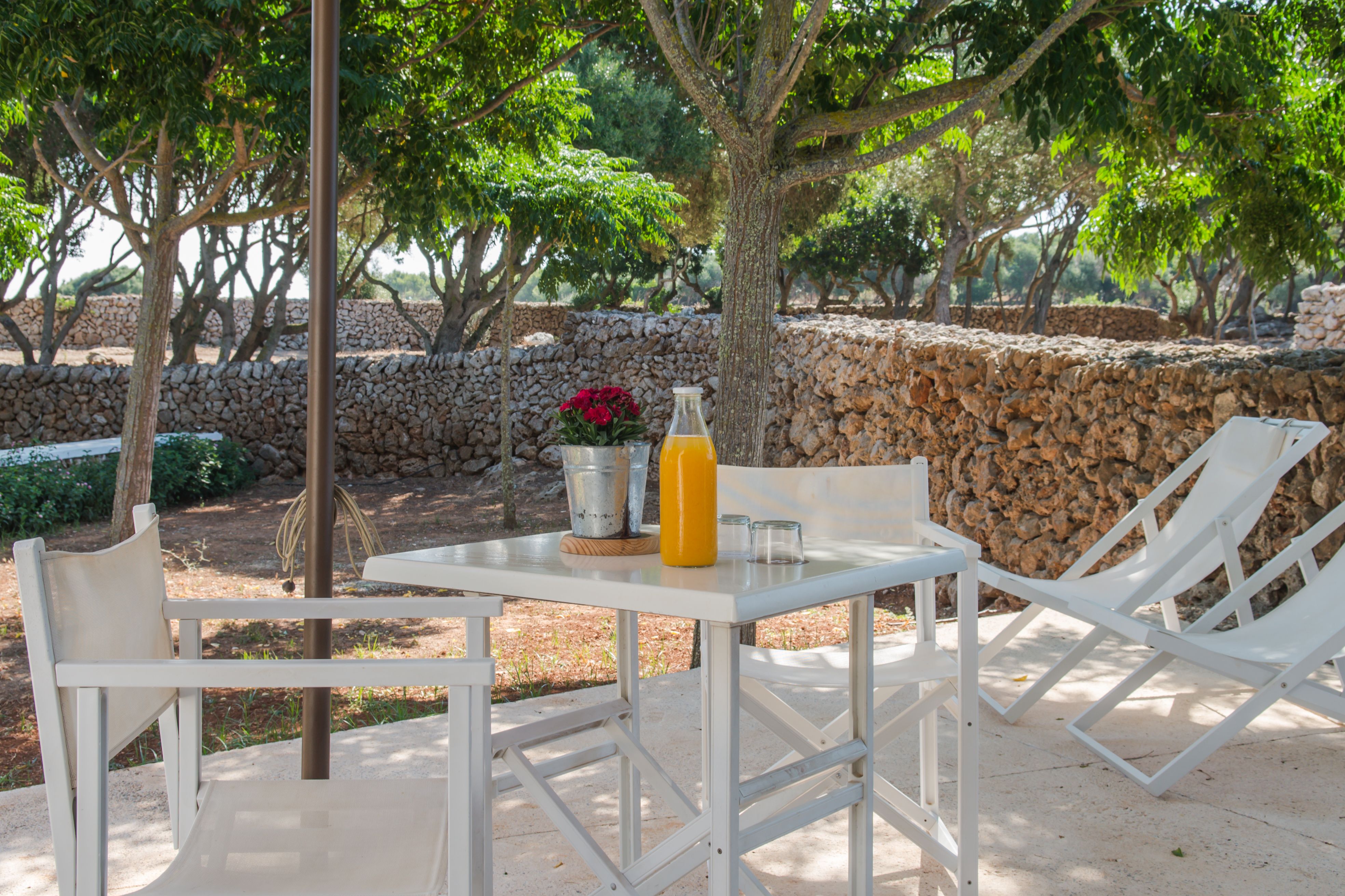 Sant Joan De Binissaida by null