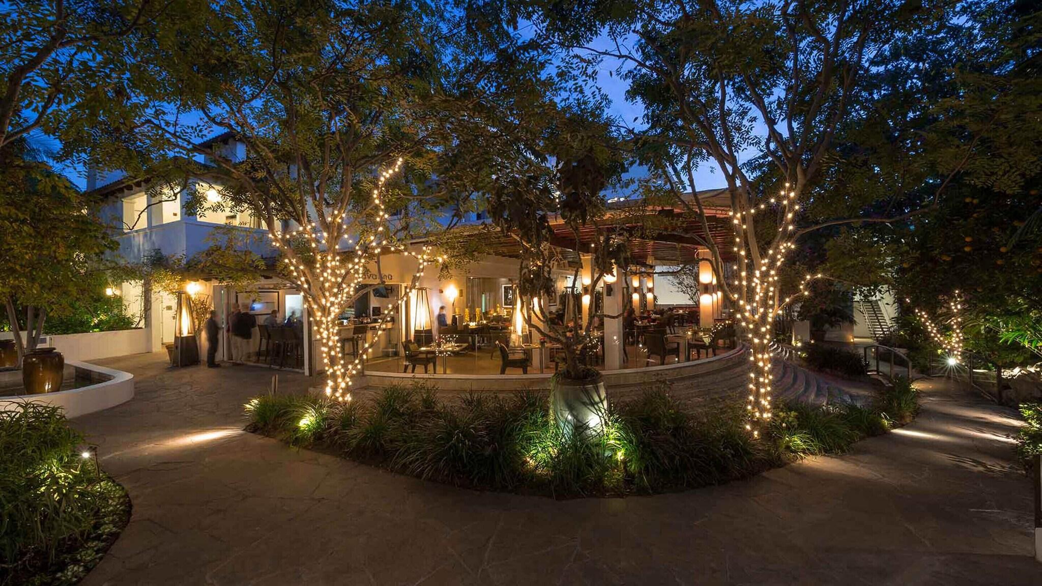 Sunset Marquis by null