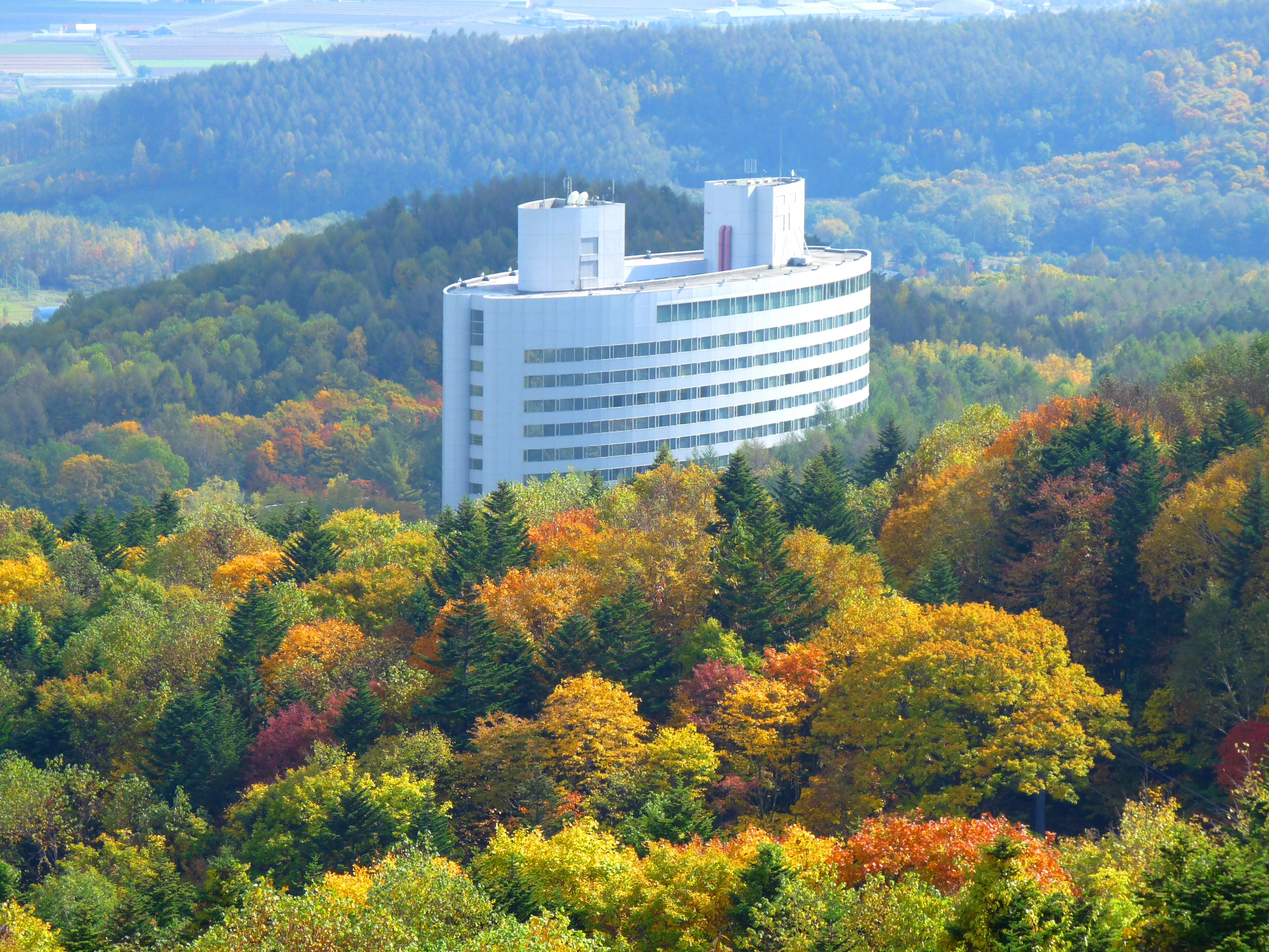 Shin Furano Prince Hotel by null