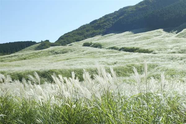 Hakone Highland Hotel