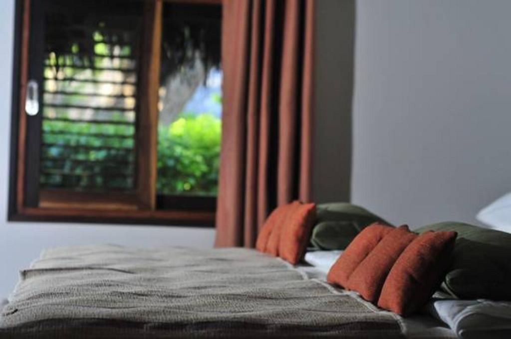 Ravintsara Wellness