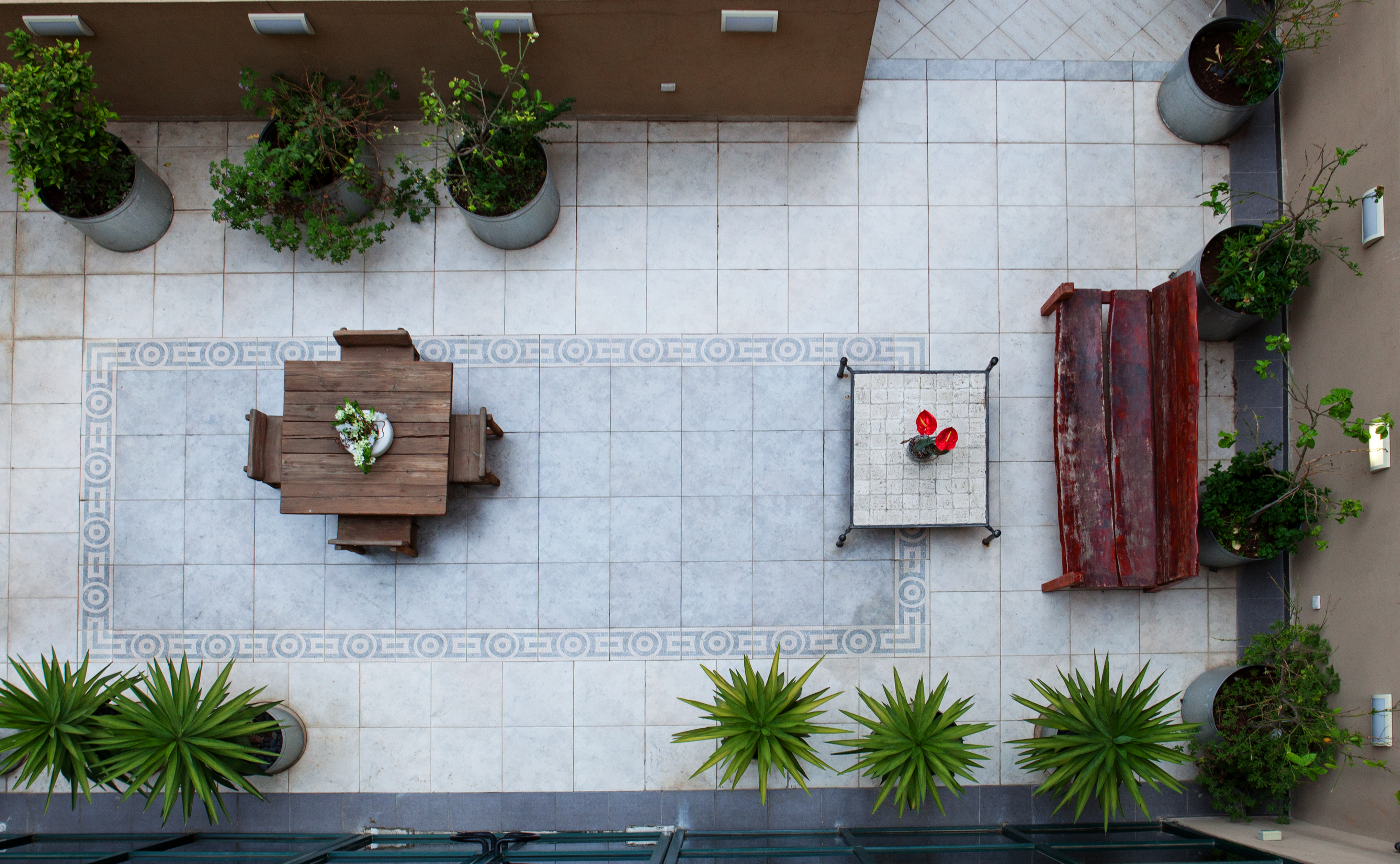 The Diaghilev by null