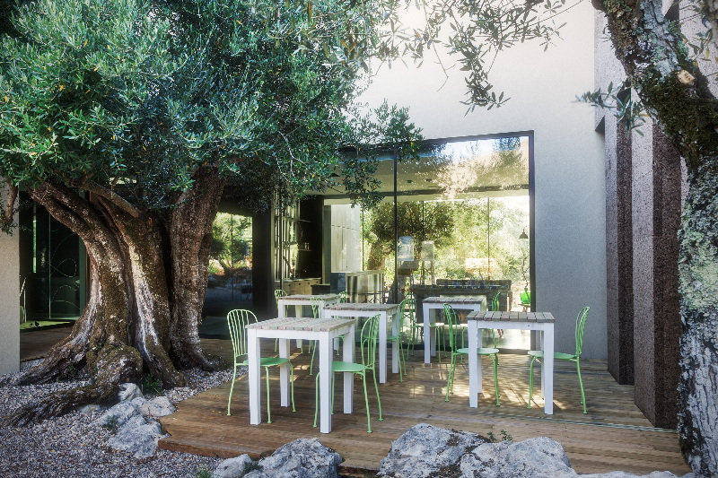Cooking and Nature | Emotional Hotel by null