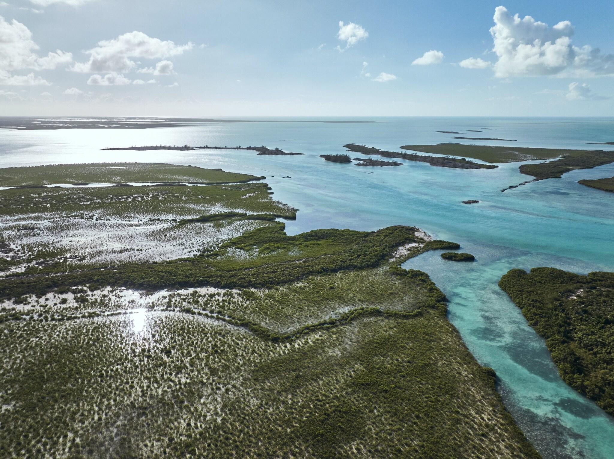 COMO Parrot Cay by null