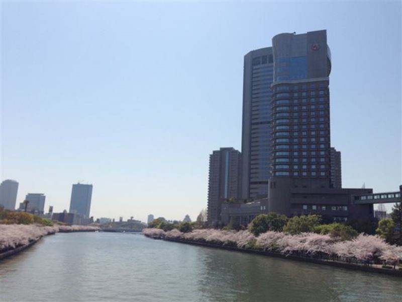Imperial Hotel Osaka image