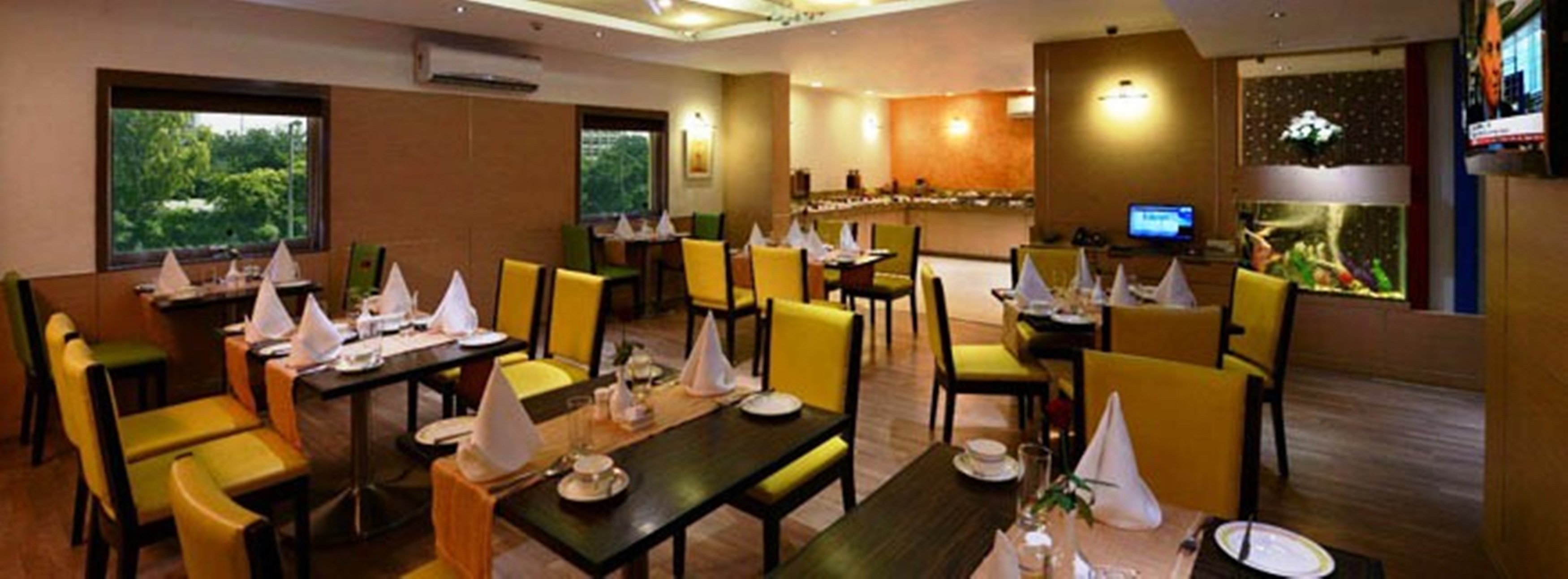 Golden Tulip Essential