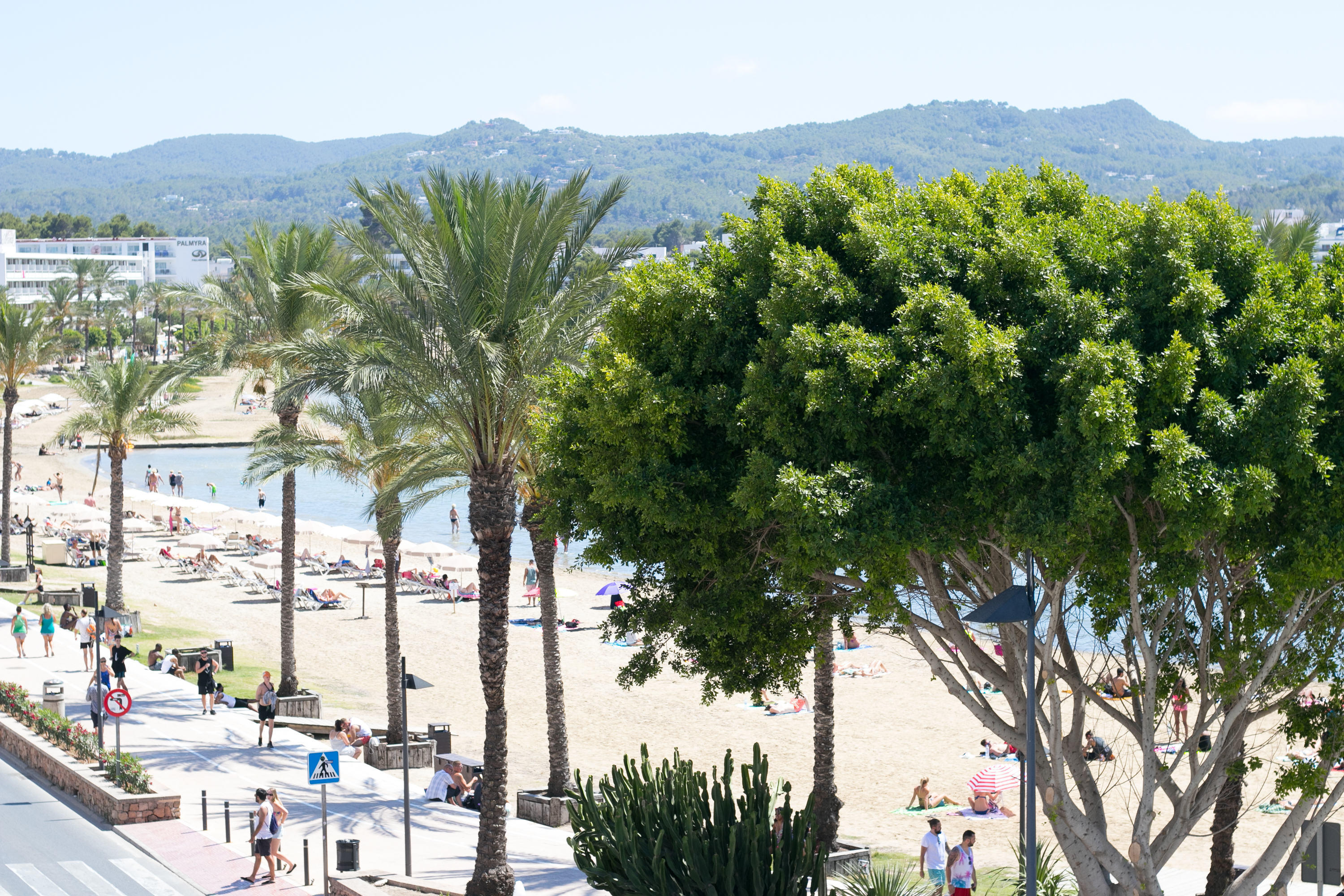 The Red Hotel by null