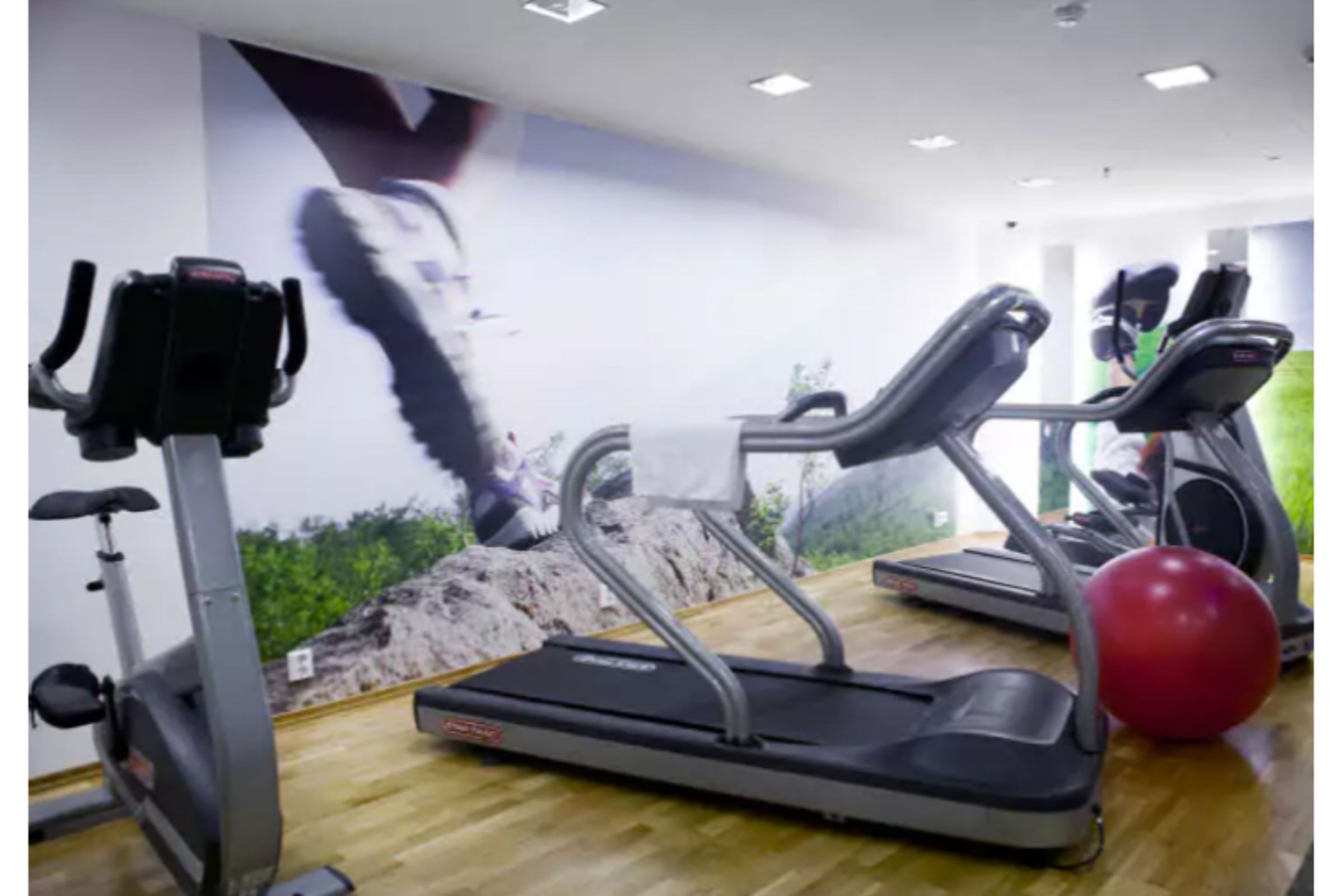 Scandic Paasi by null