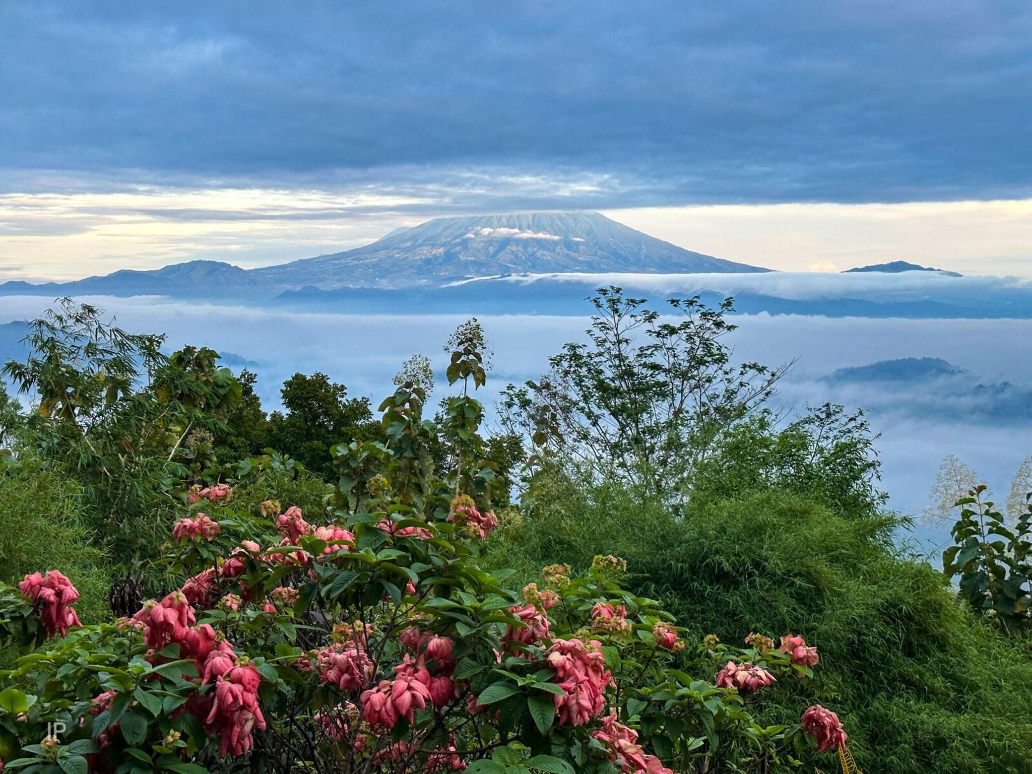 Villa Borobudur Resort by null