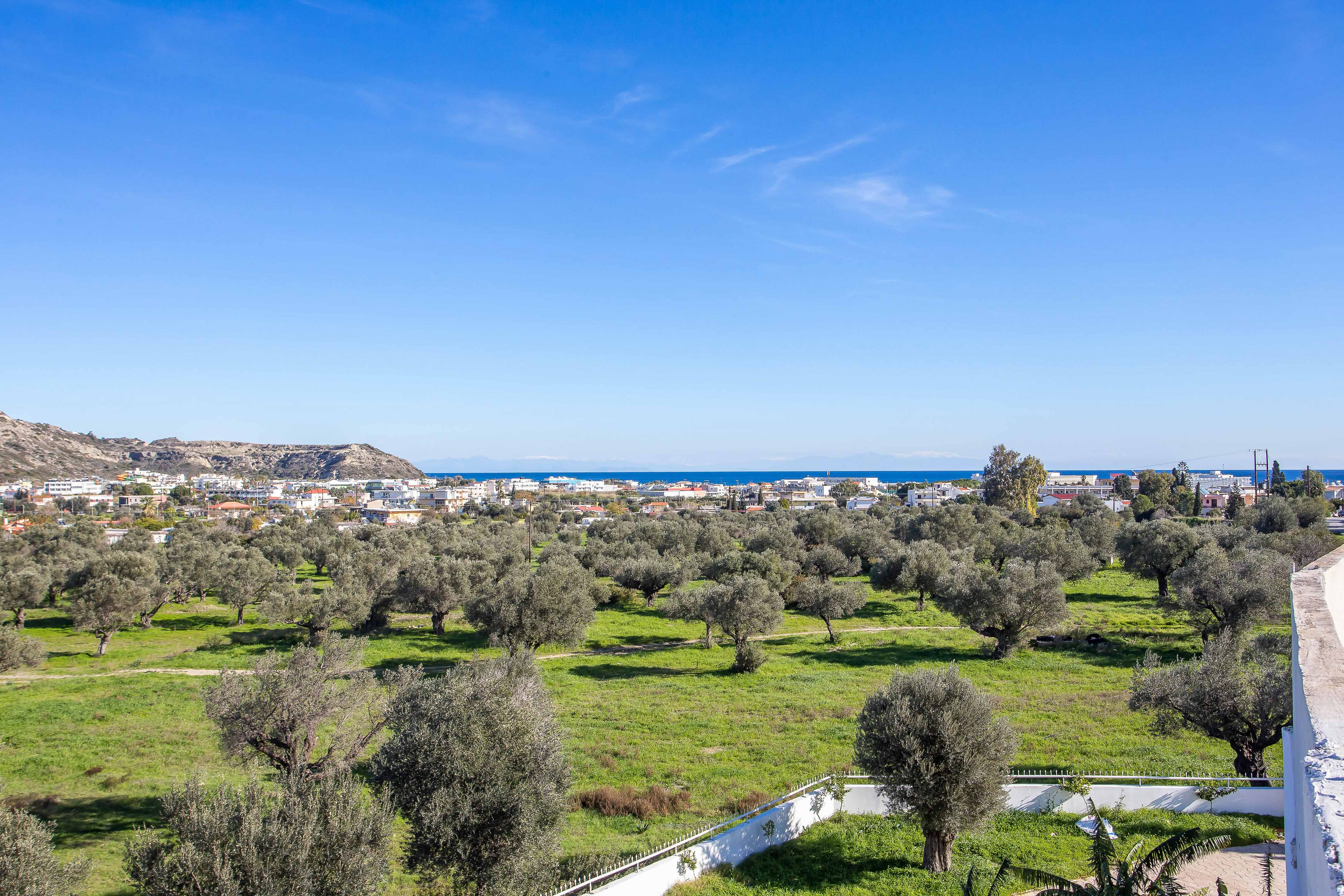 Evita Studios - фото