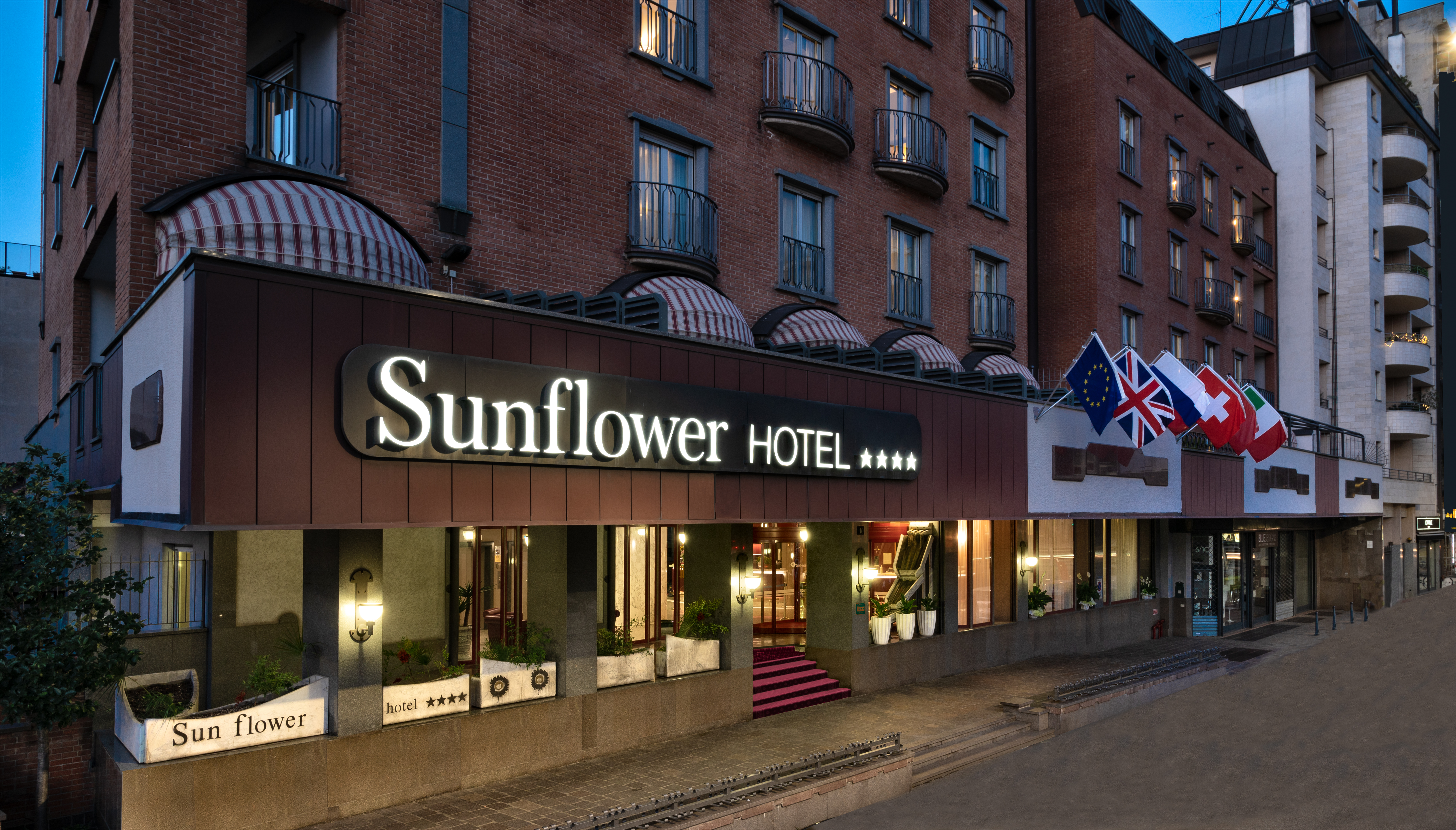 Sunflower Hotel - photo