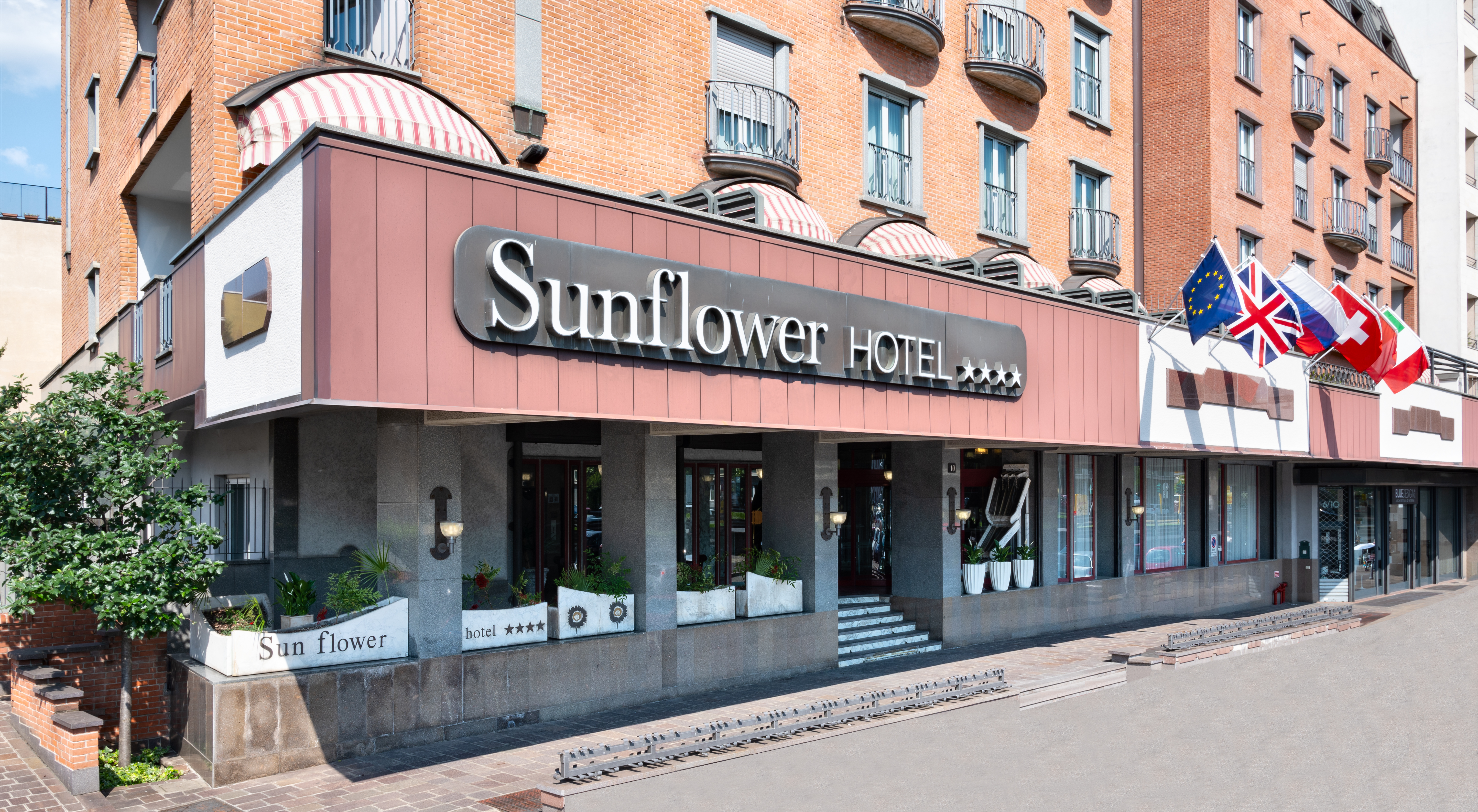 Sunflower Hotel - photo