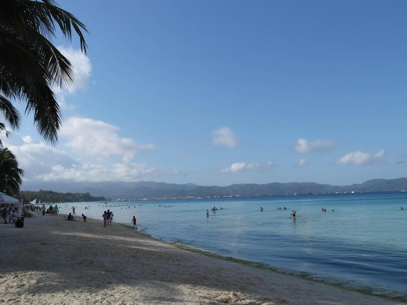 Green Monkey Resort