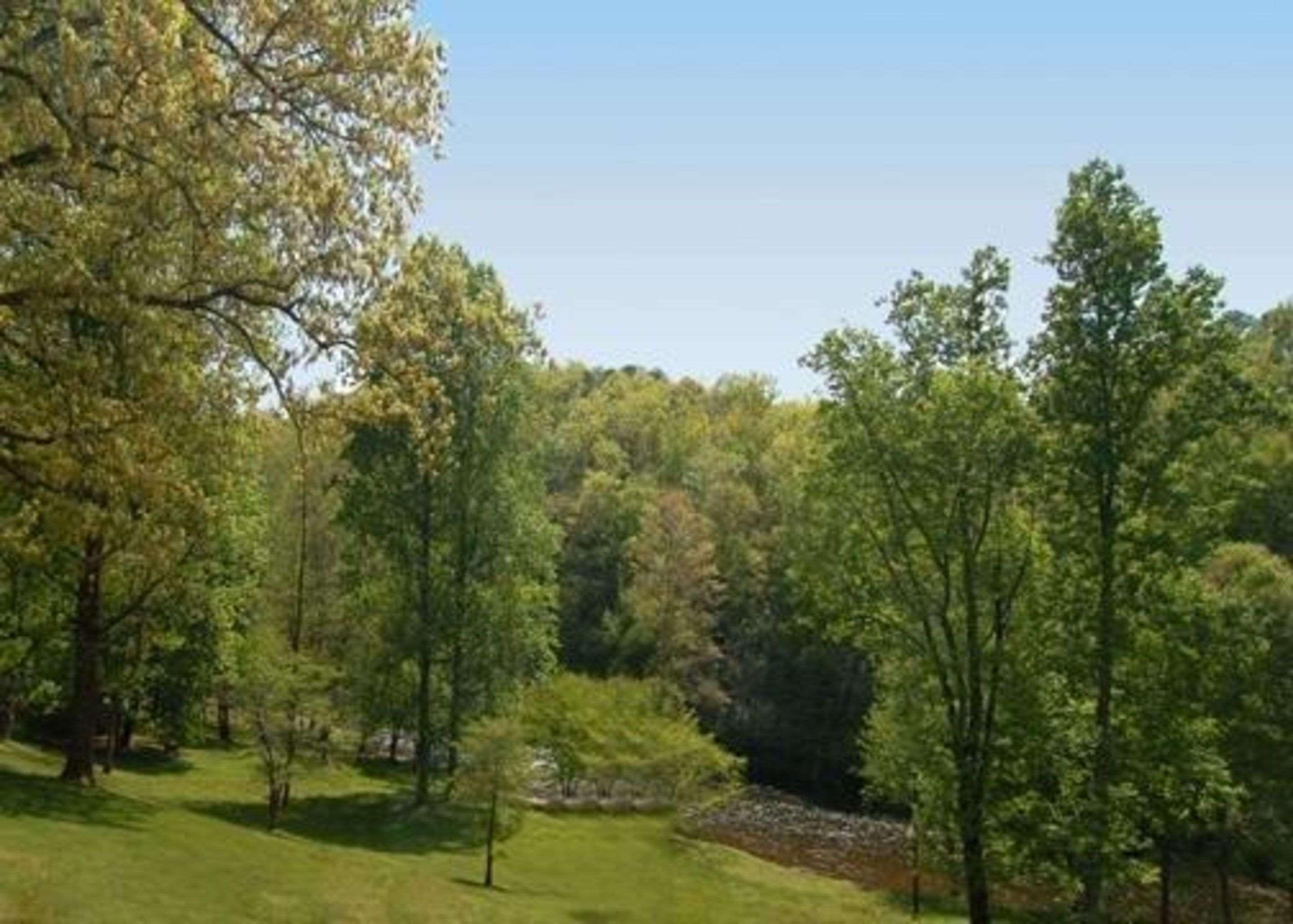 Rodeway Inn & Suites On The River
