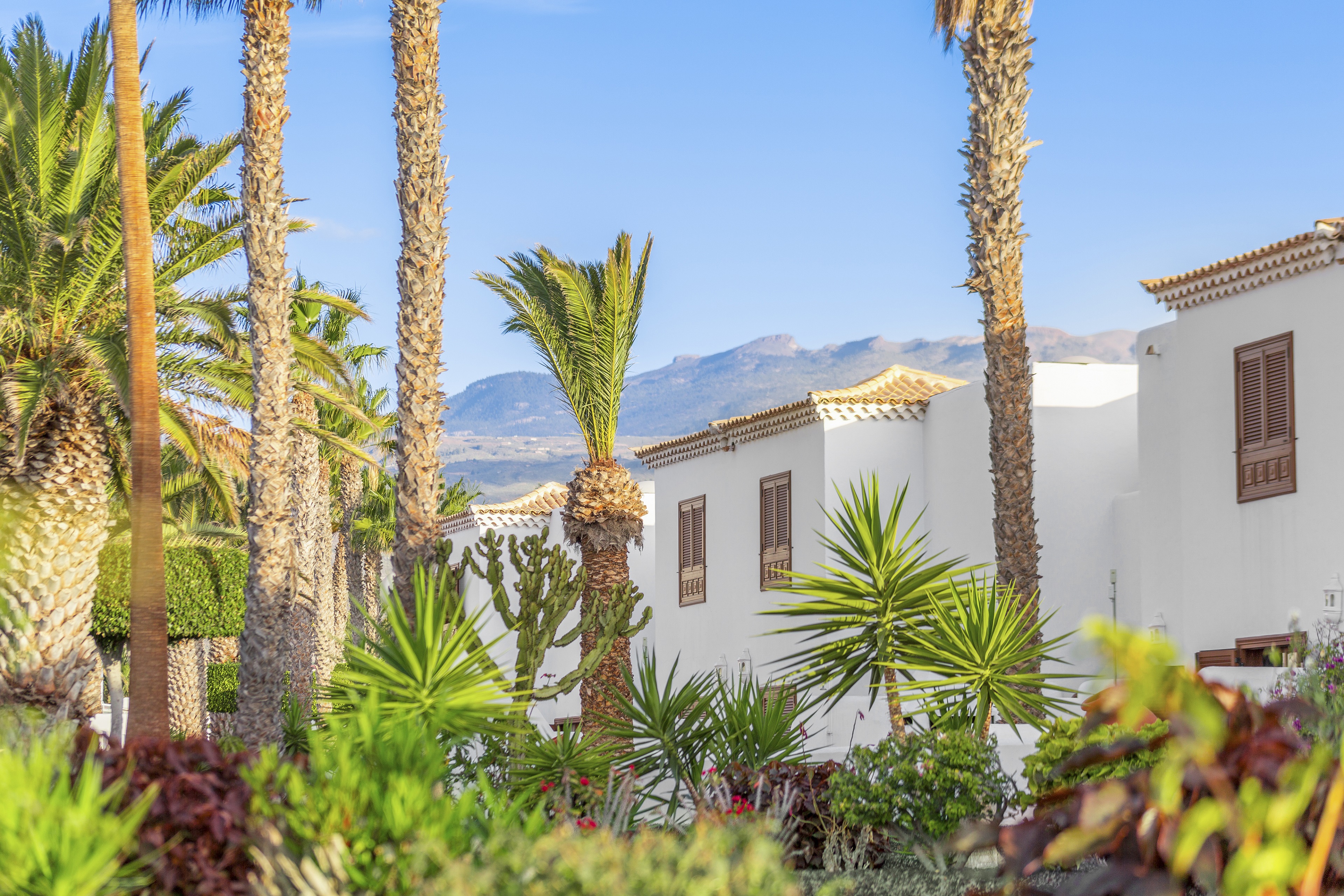 Royal Tenerife Country Club - nuotrauka