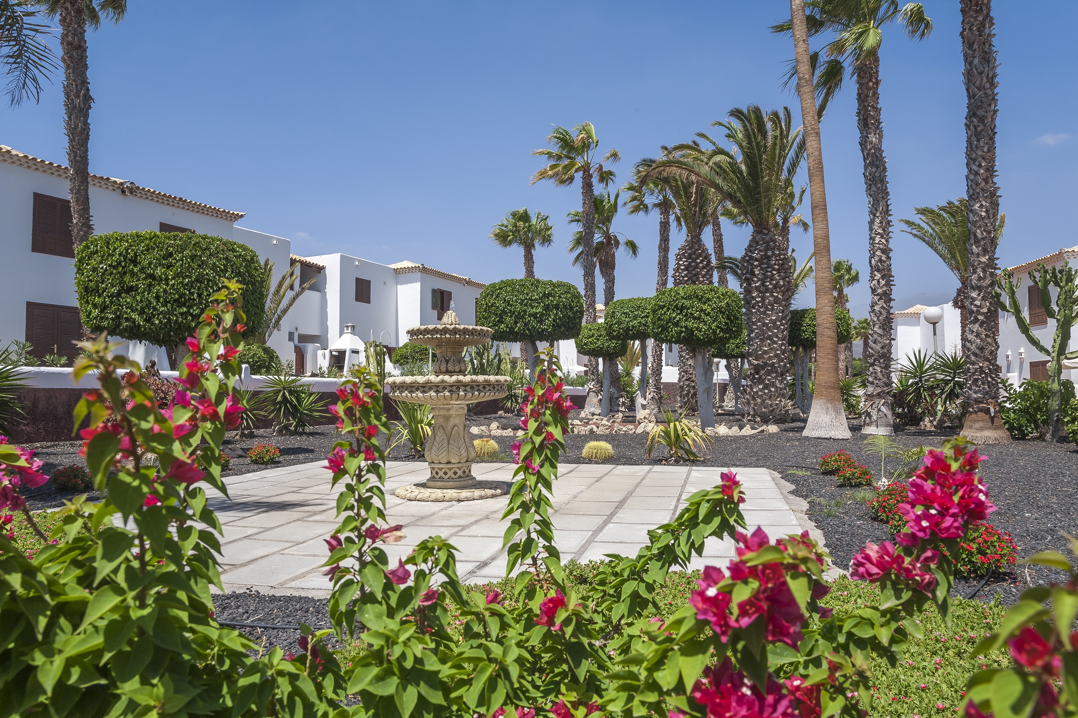 Royal Tenerife Country Club - nuotrauka