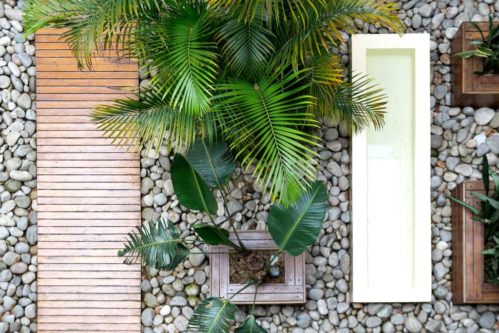 Nuss Buenos Aires Soho by null