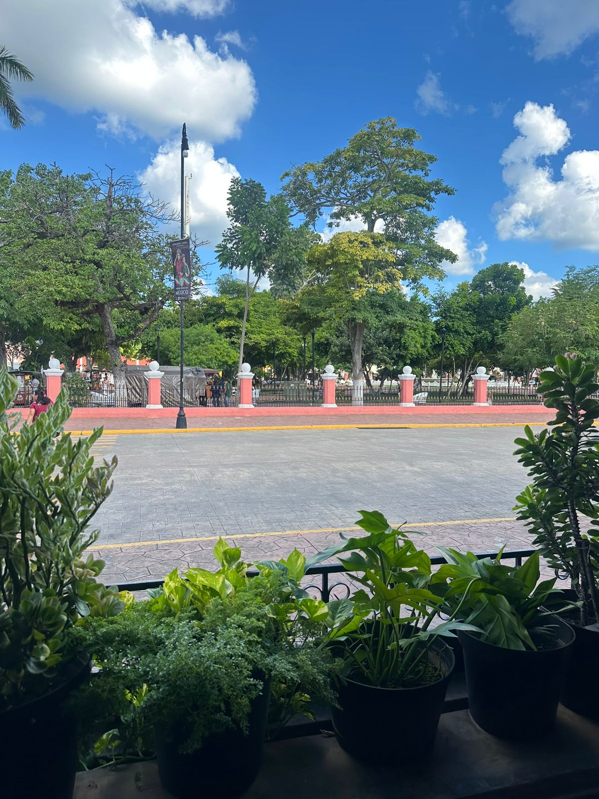 Hotel María de la Luz by null