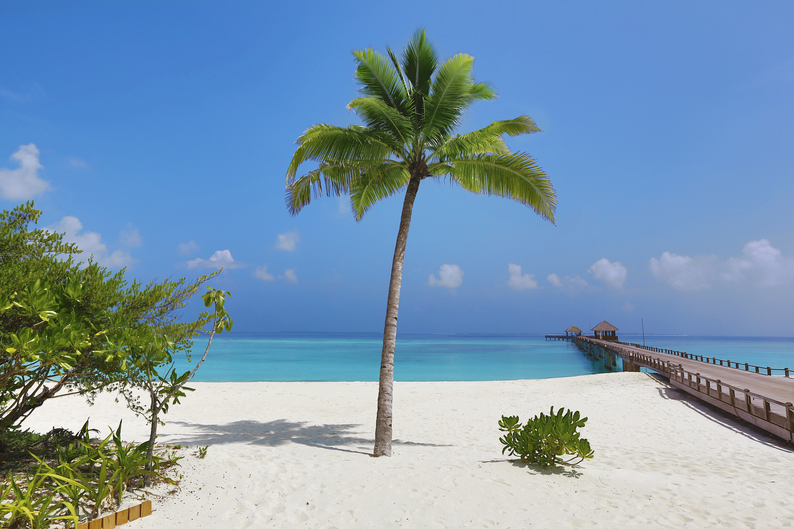 Zdjęcie Plaża na wyspie Manafur obszar hotelowy